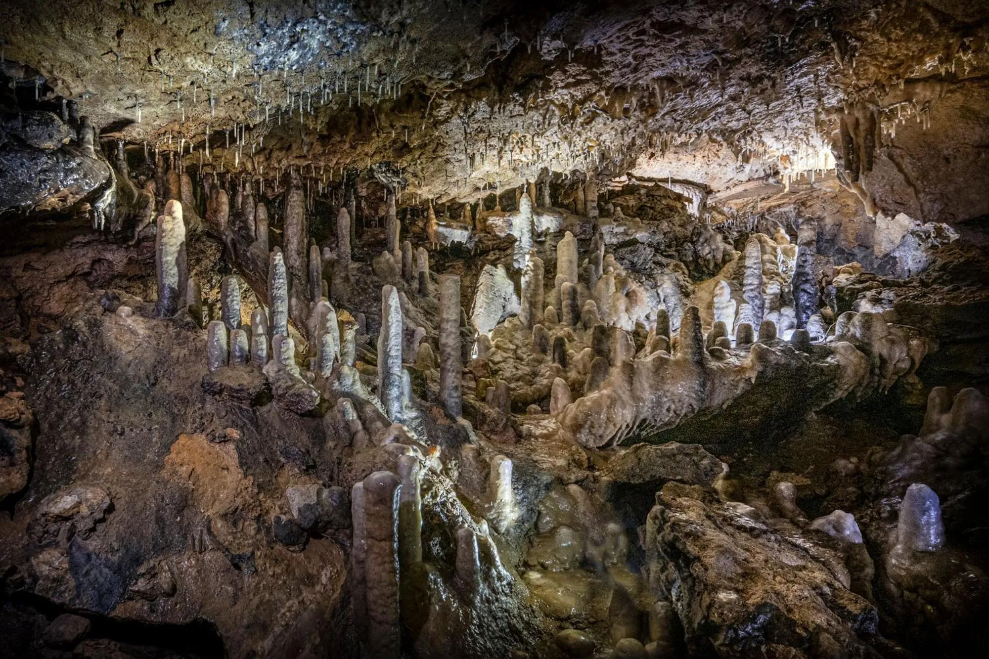 Entertainment in Burg Rabenstein