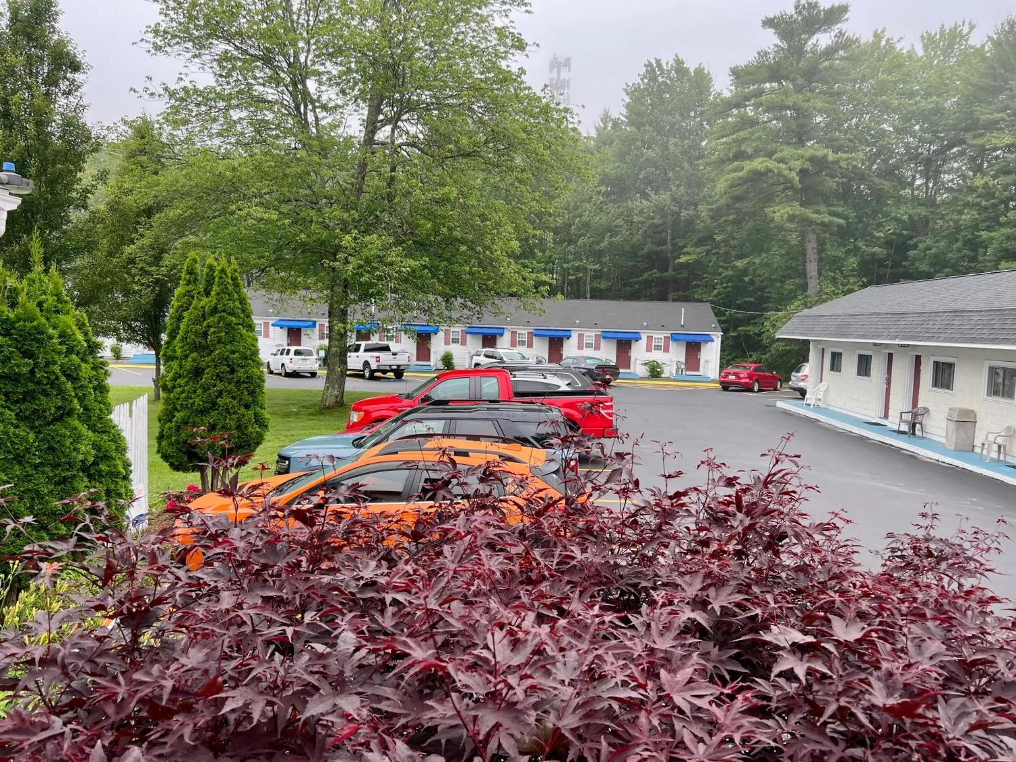 Rodeway Inn & Suites Brunswick near Hwy 1