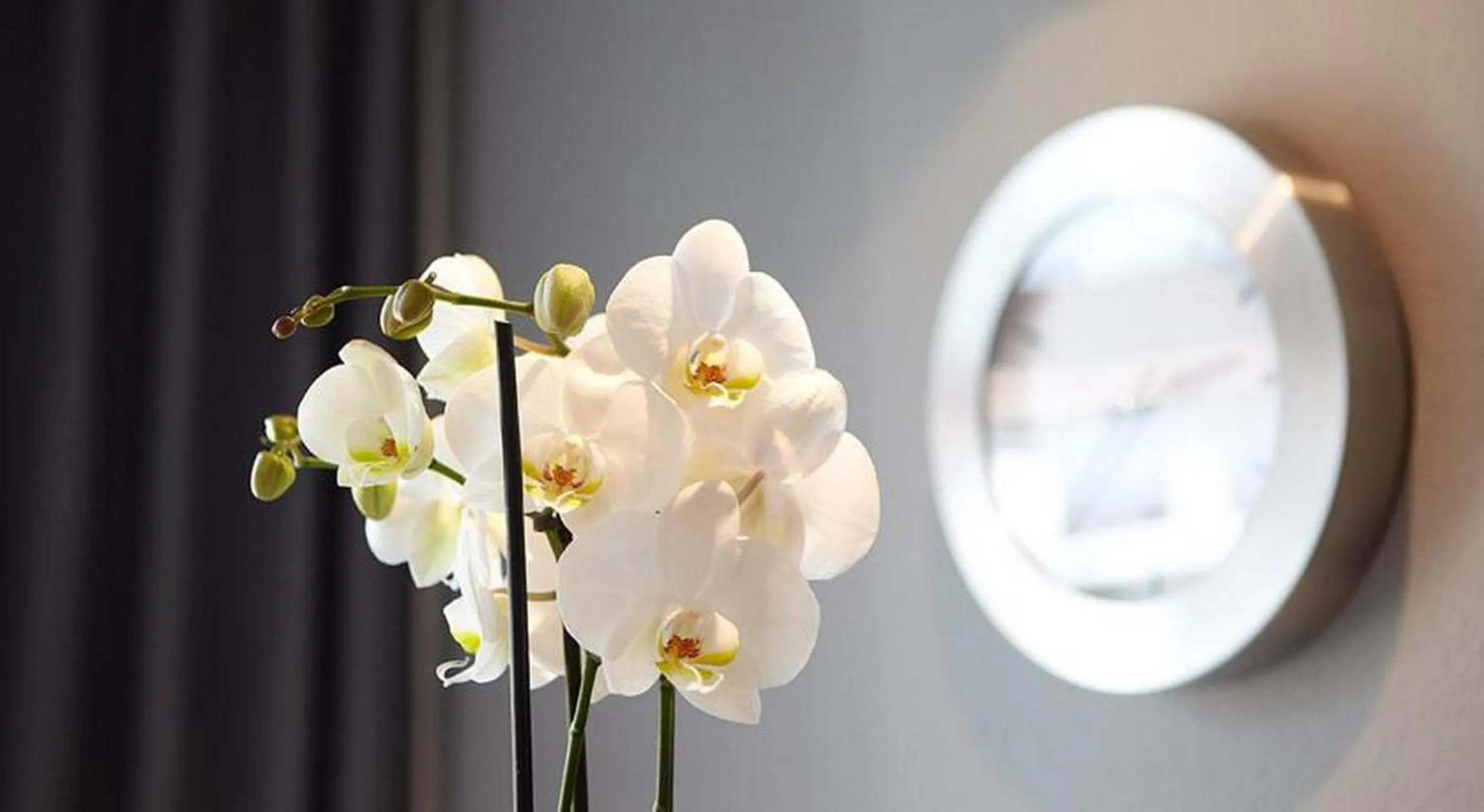 Lobby or reception in Hotel Waldblick Deppe