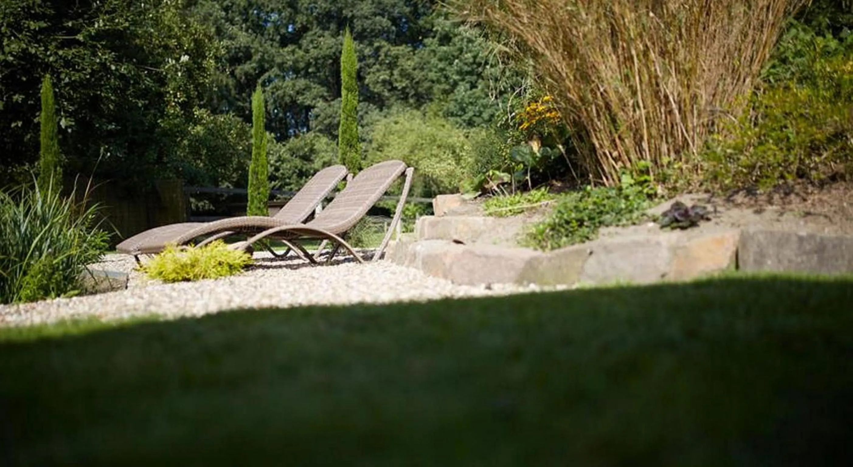 Garden view in Hotel Waldblick Deppe