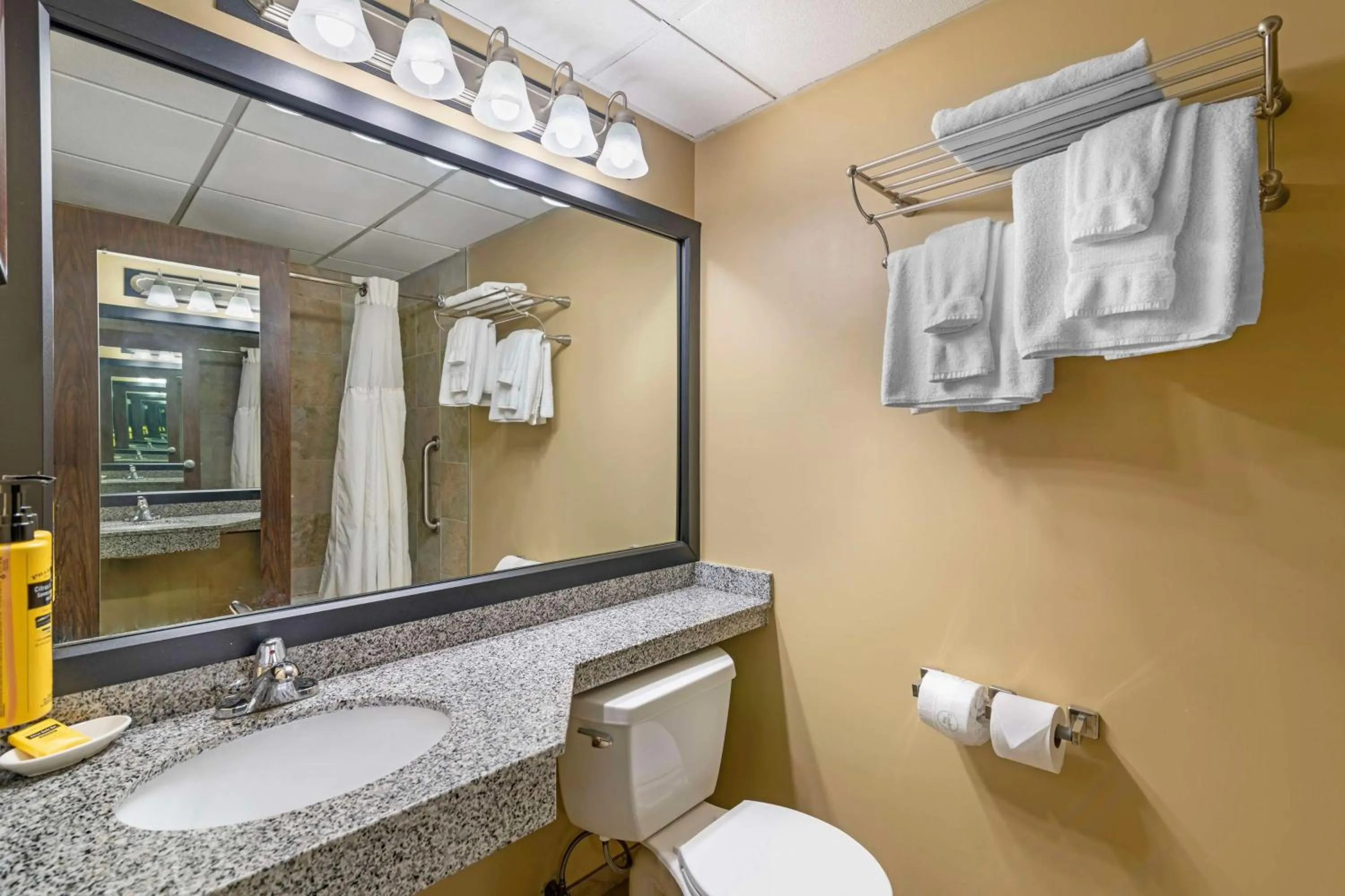Bathroom in Best Western Plus Plattsburgh