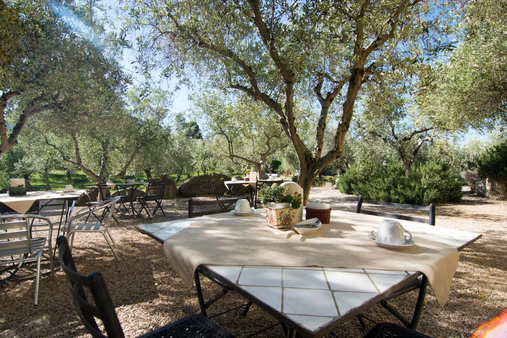 Restaurant/places to eat in RTA Costa Etrusca