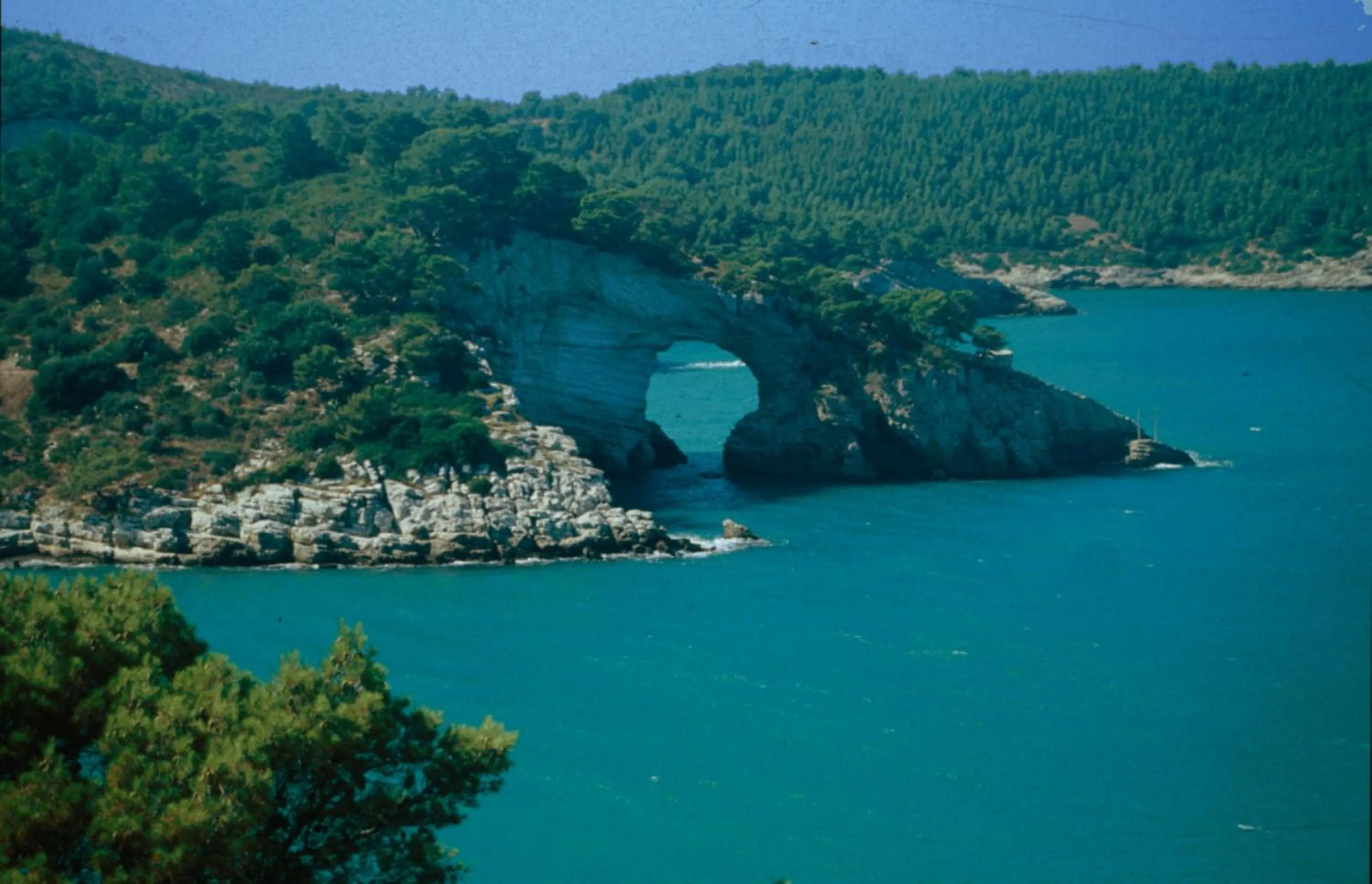 Area and facilities in Relais Parallelo 41