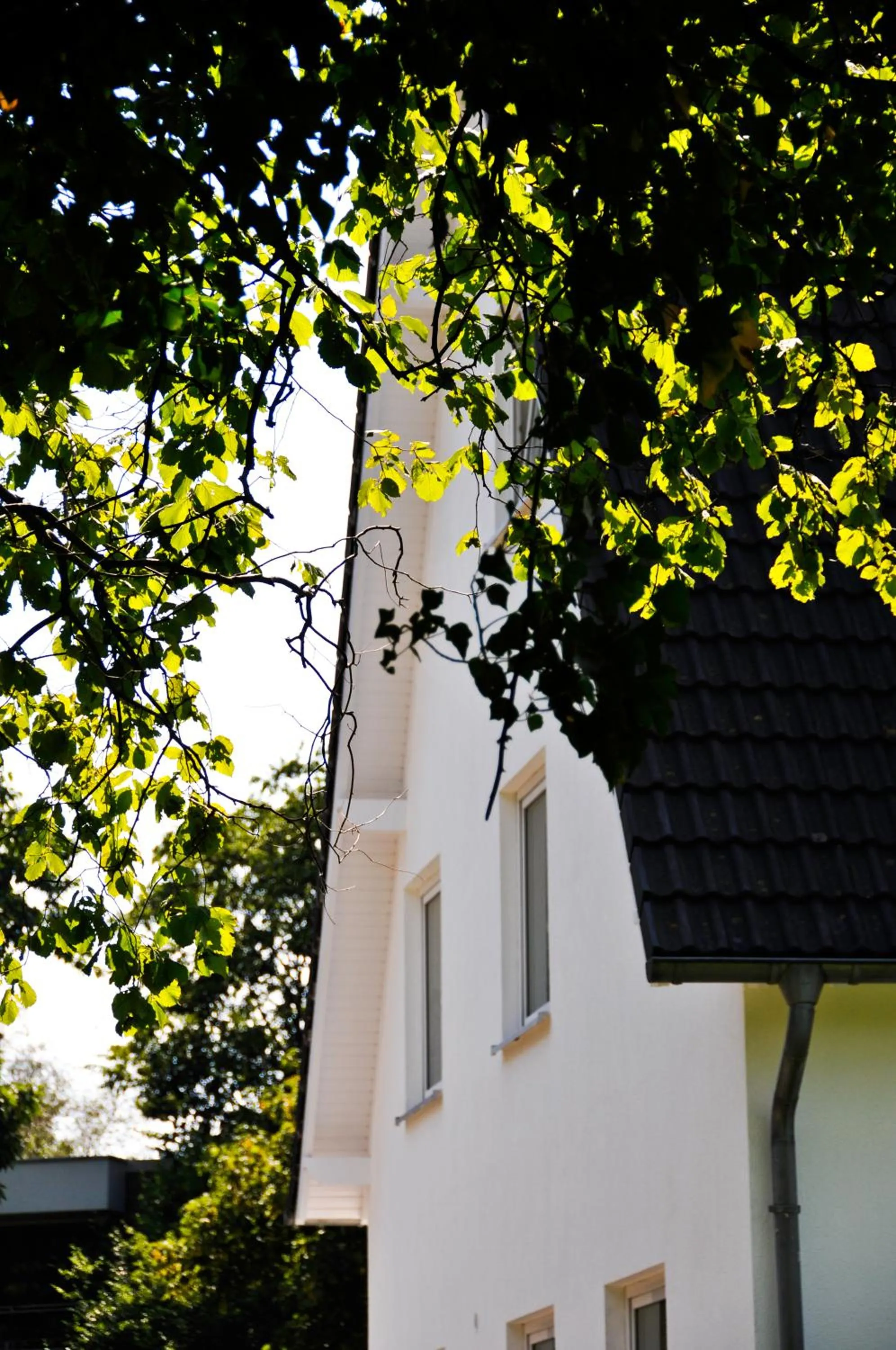 Facade/entrance in Hotel Destination 21