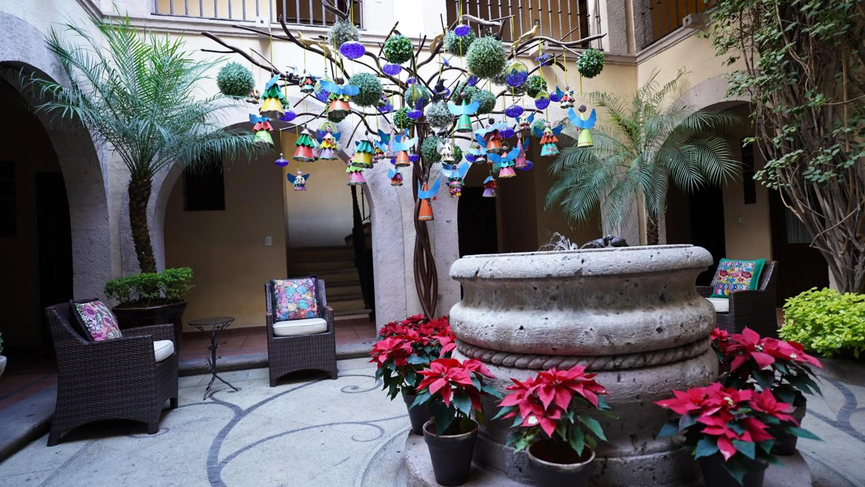 Garden view in Hotel De La Soledad
