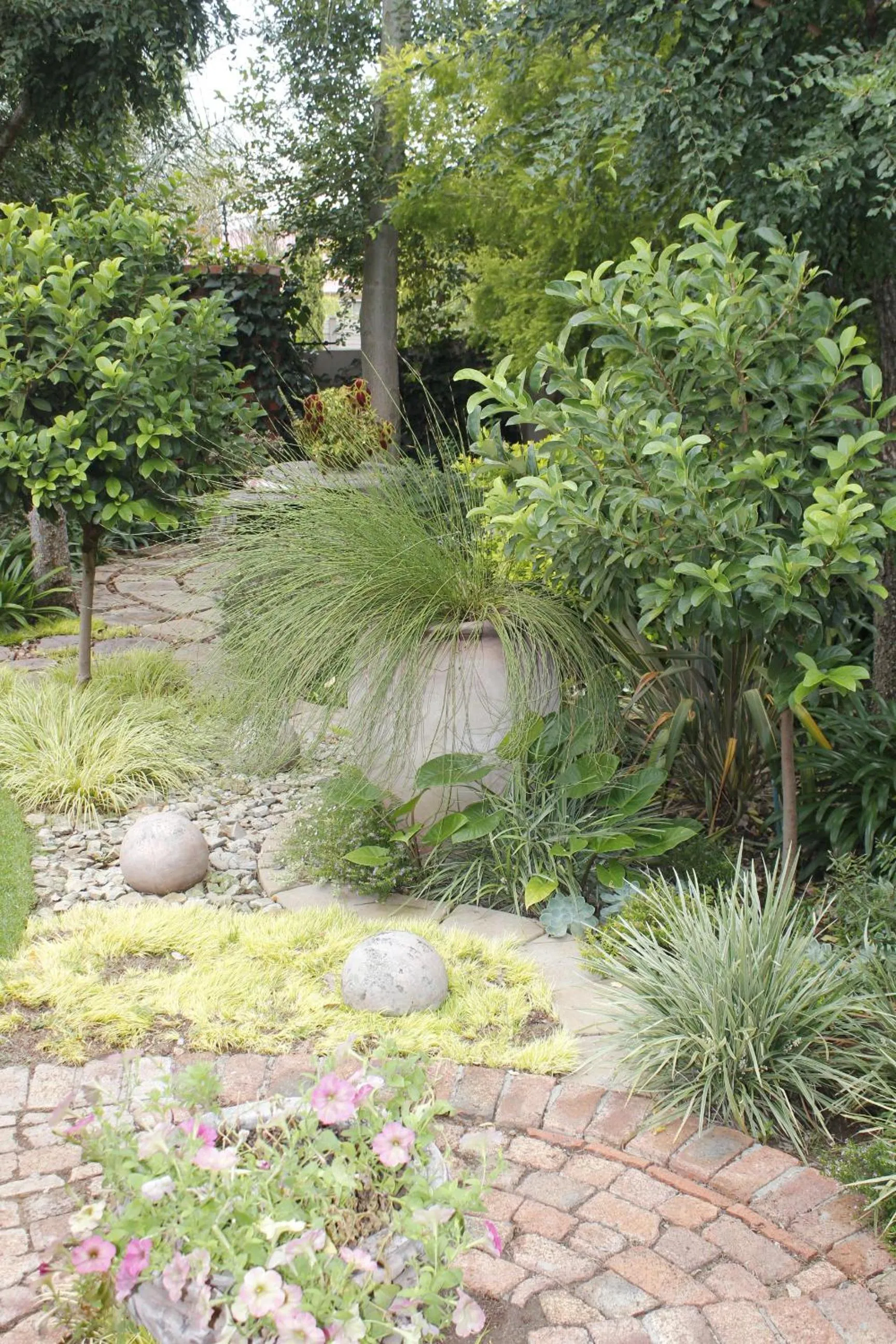 Garden in Primavera Guest House