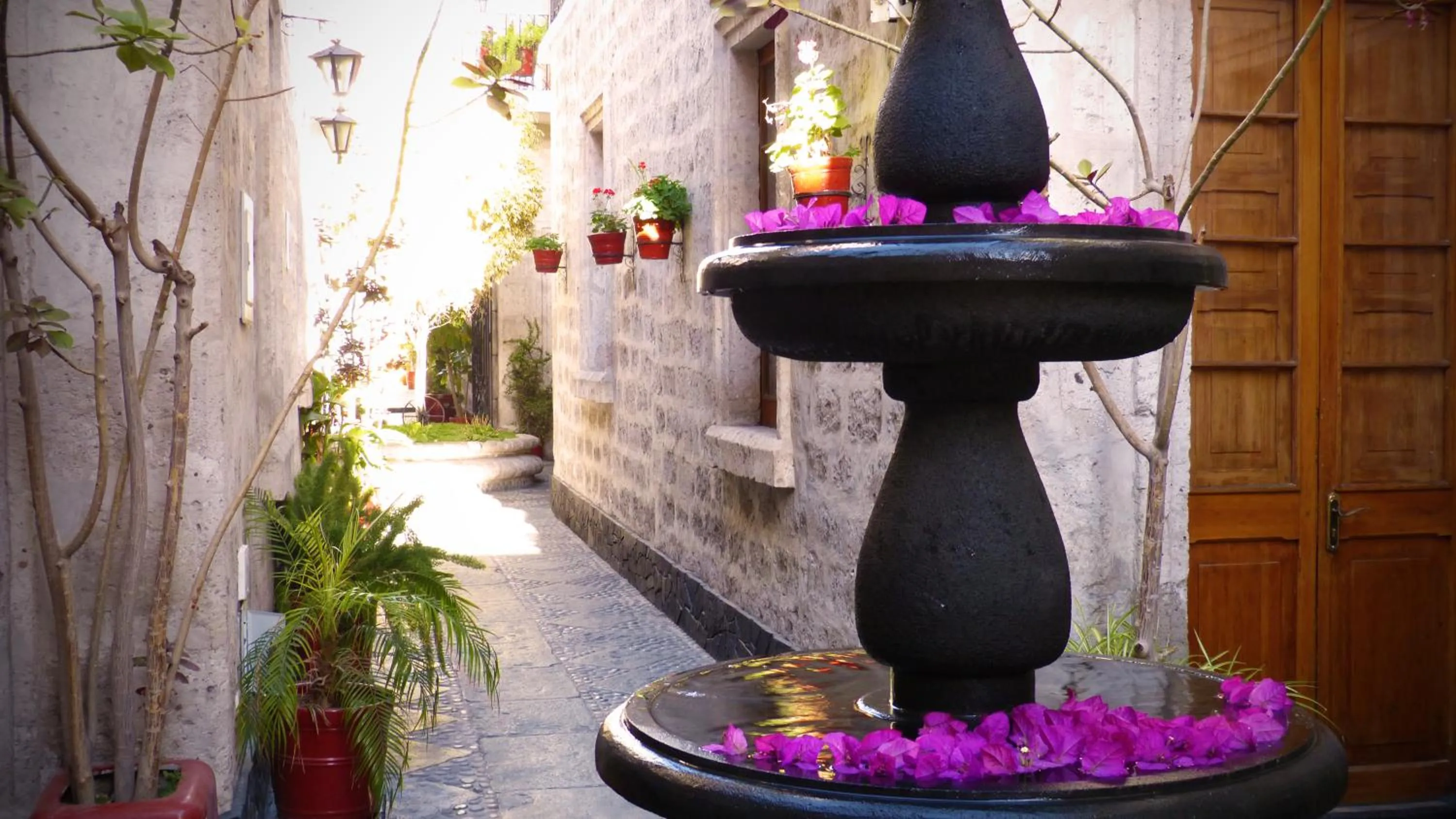 Garden in Majestad Hotel Boutique