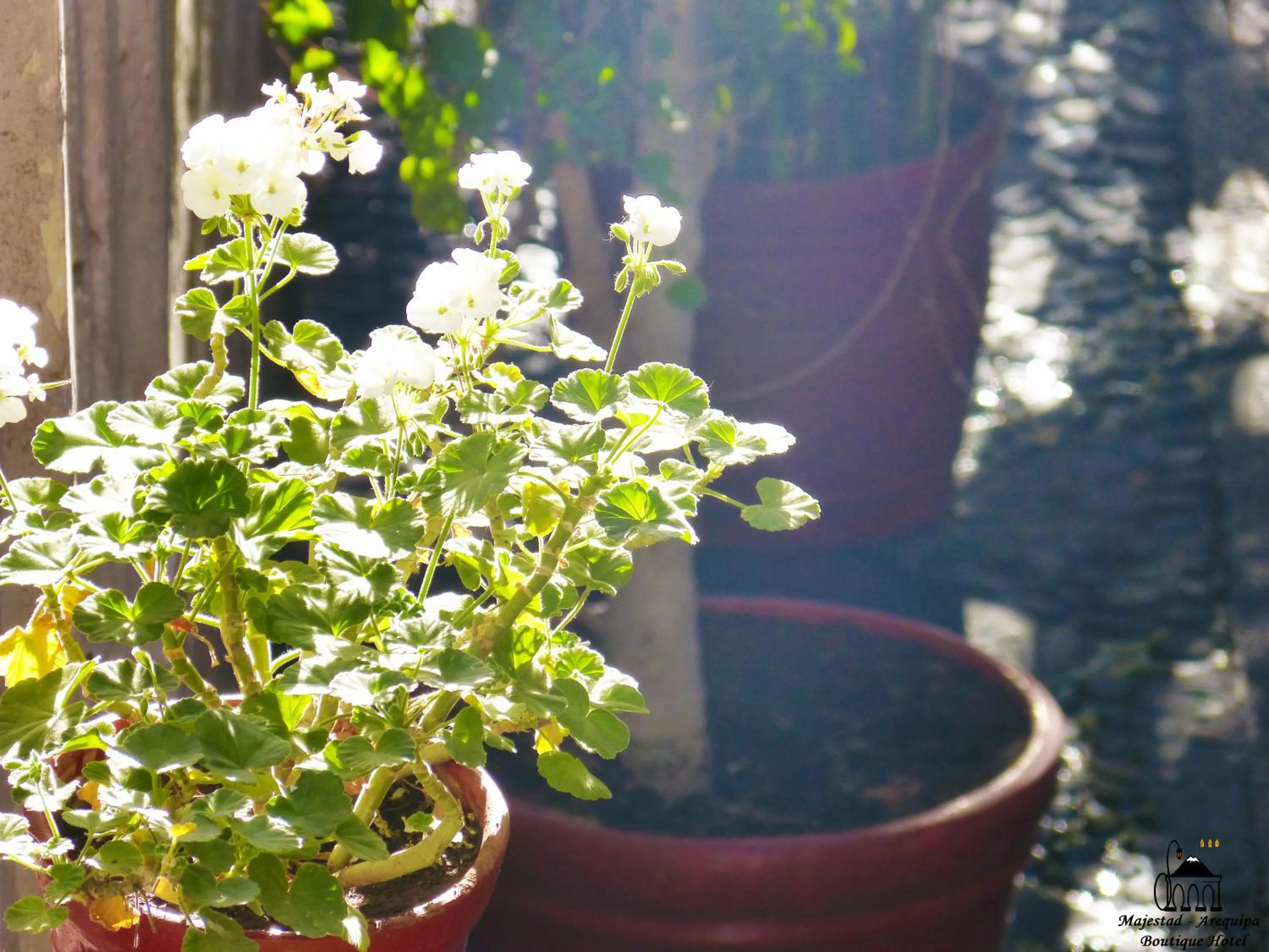 Day in Majestad Hotel Boutique