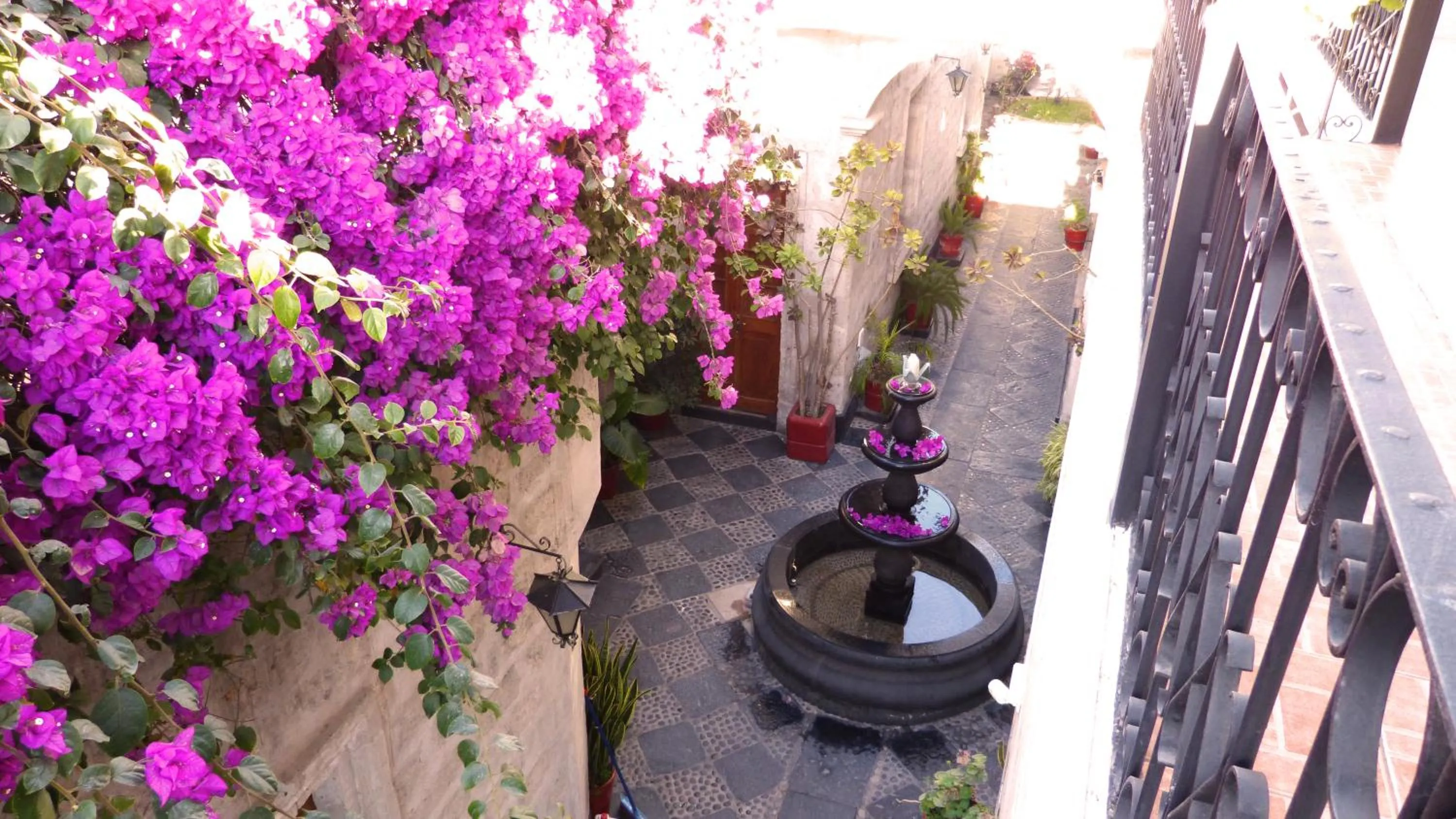 Spring in Majestad Hotel Boutique