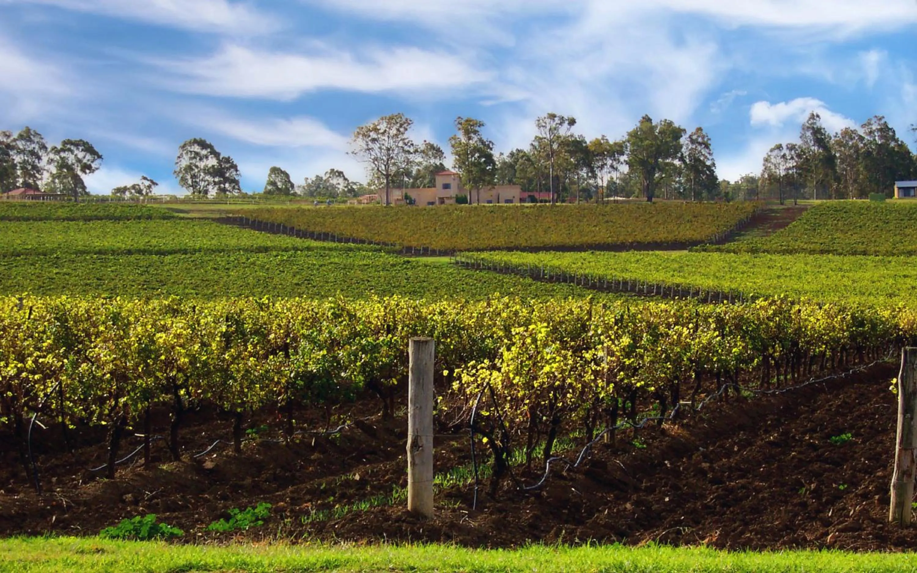 Facade/entrance in Estate Tuscany
