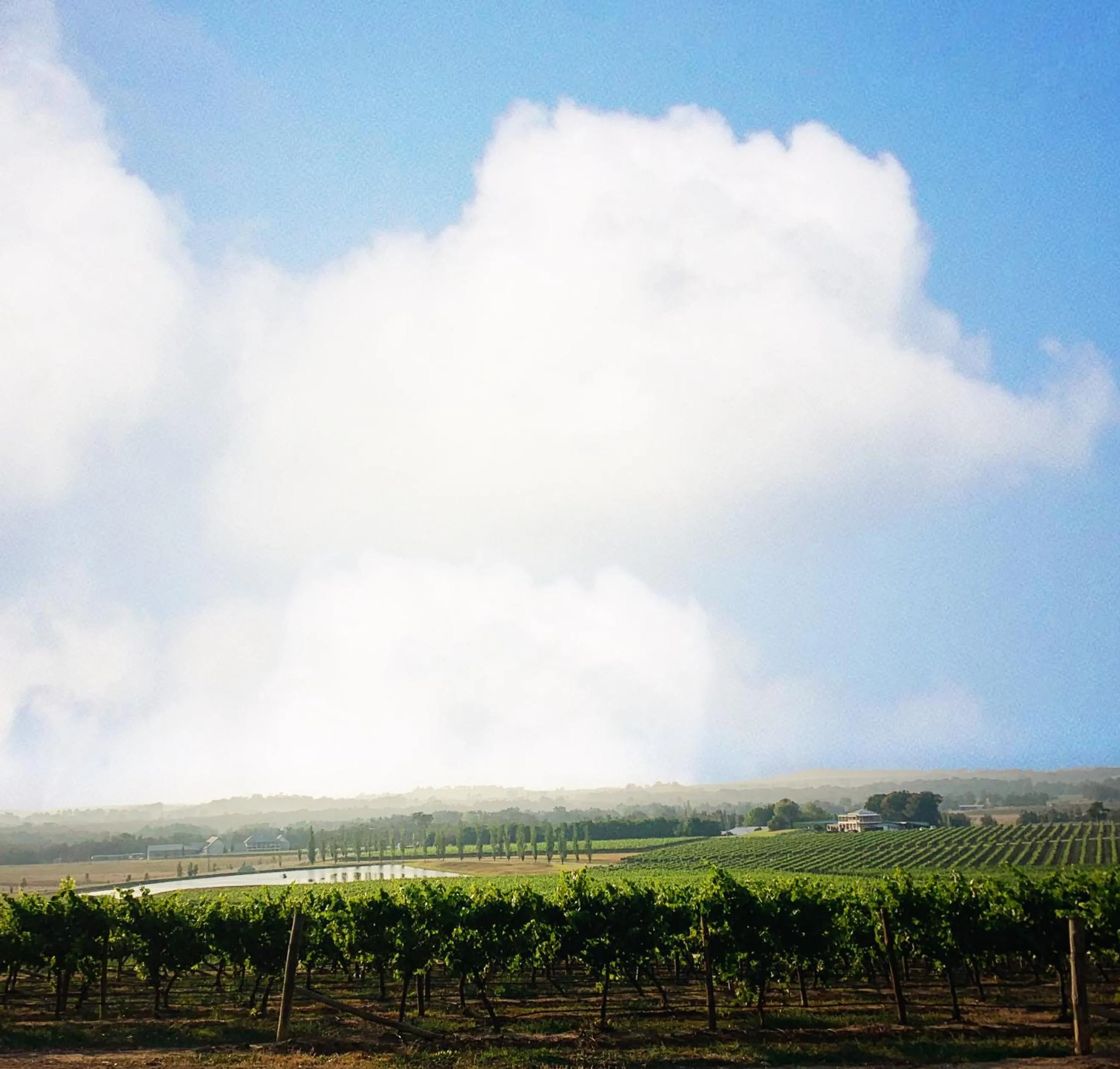 Natural landscape in Estate Tuscany