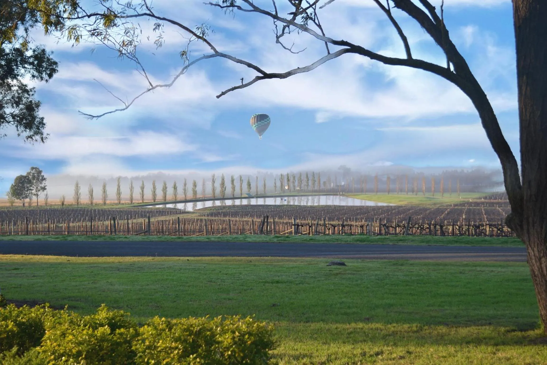 Neighbourhood in Estate Tuscany