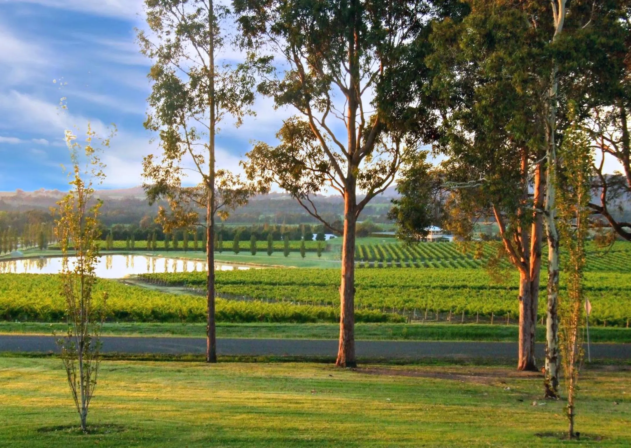Garden in Estate Tuscany