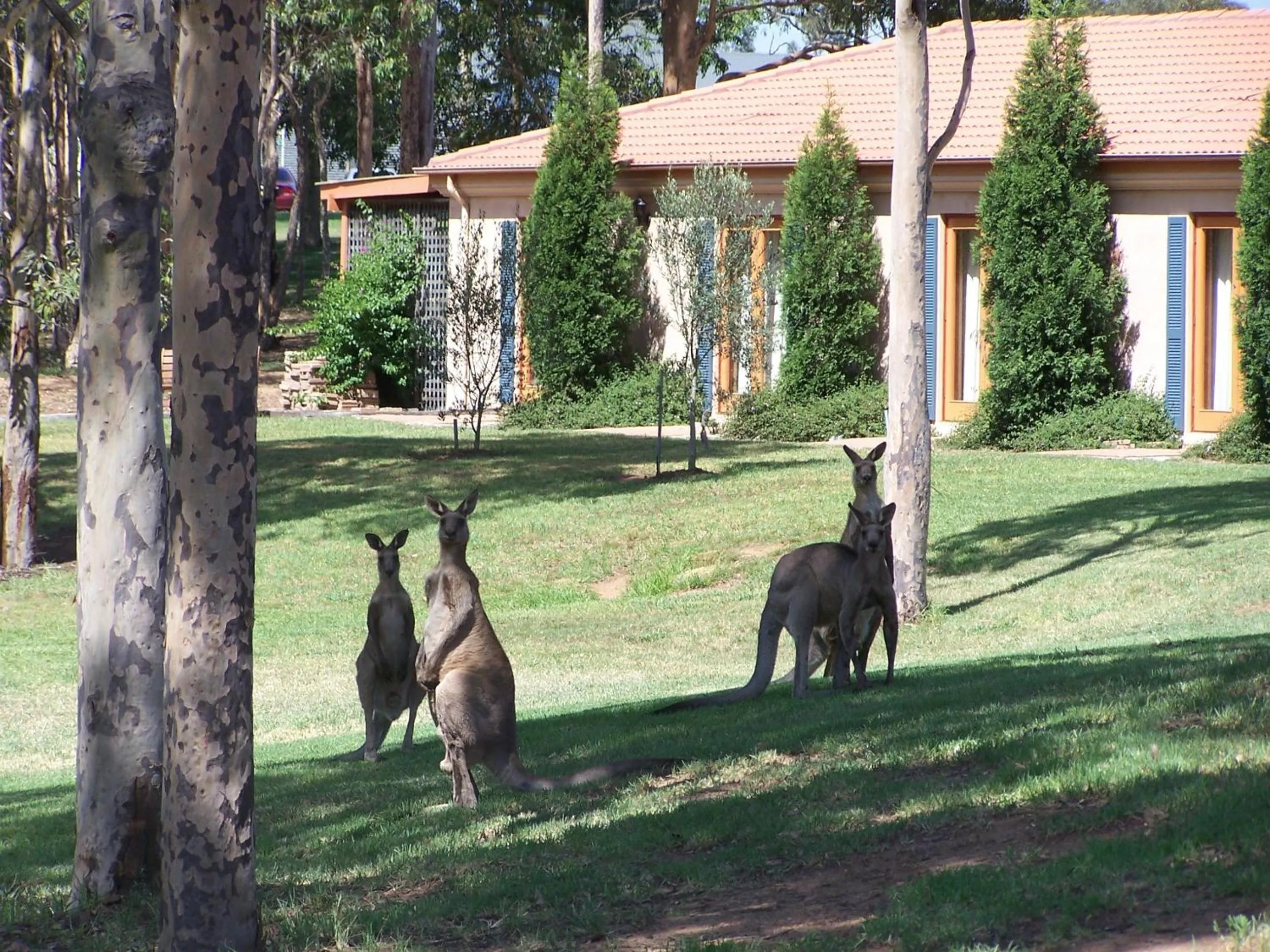 Garden in Estate Tuscany