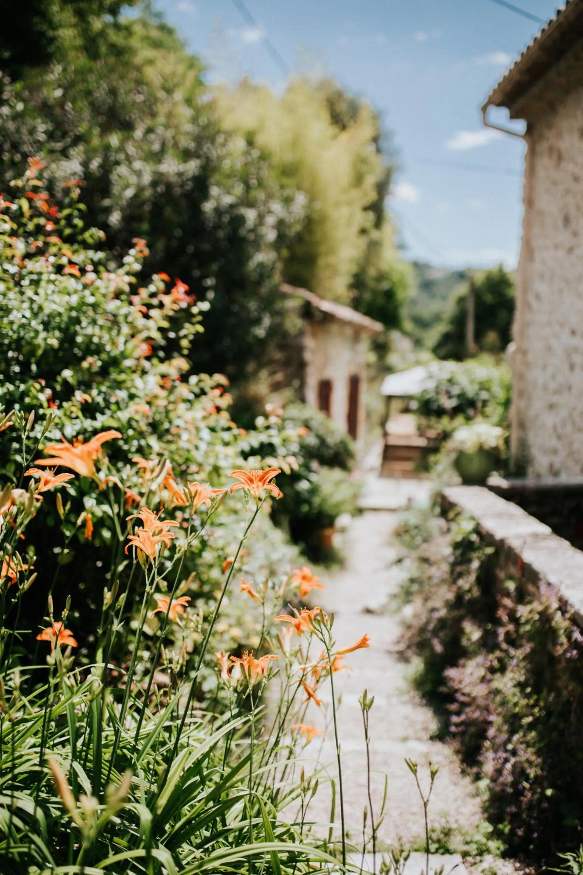 Garden in Le Moulin Camoula