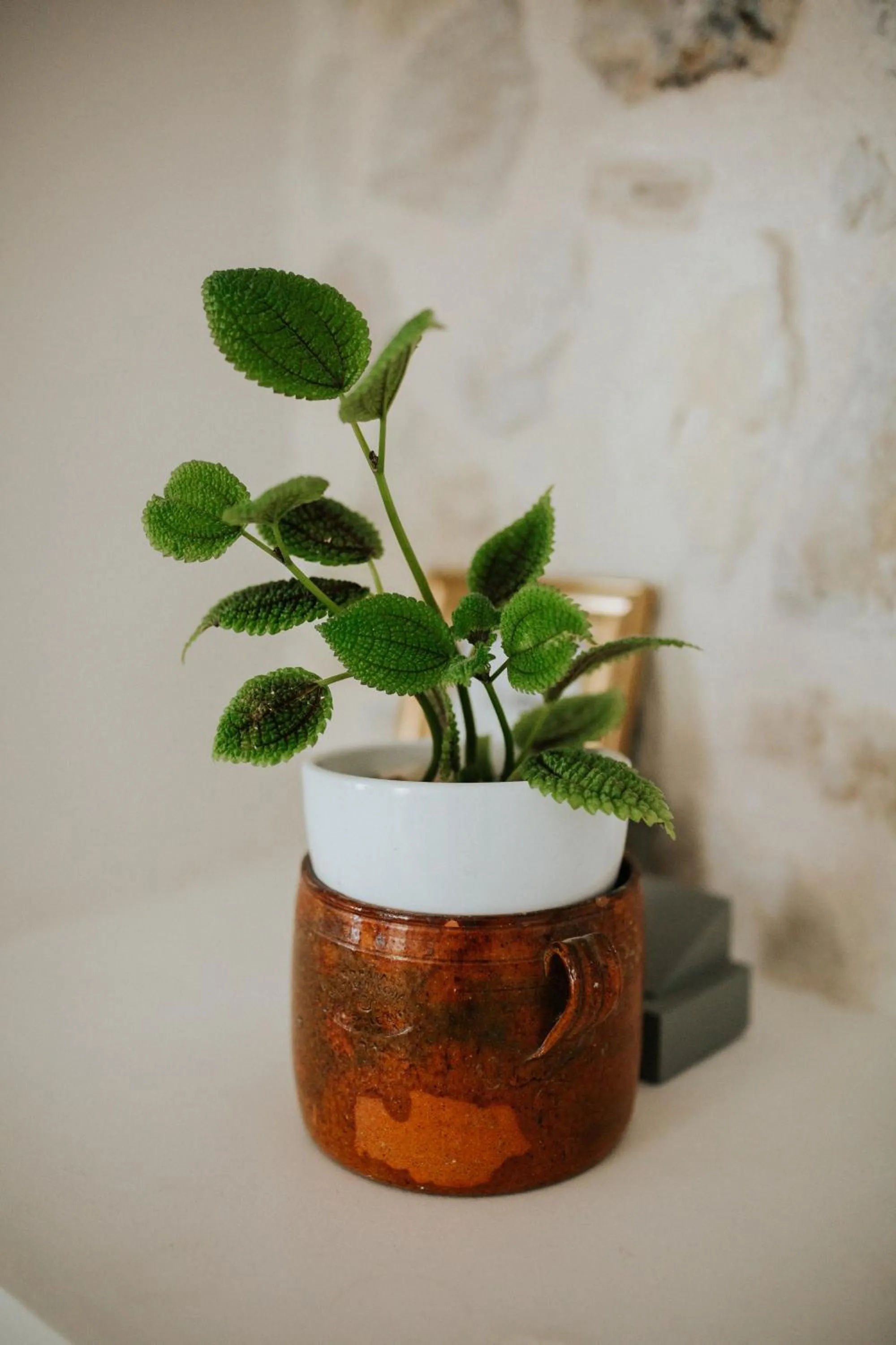 Decorative detail in Le Moulin Camoula