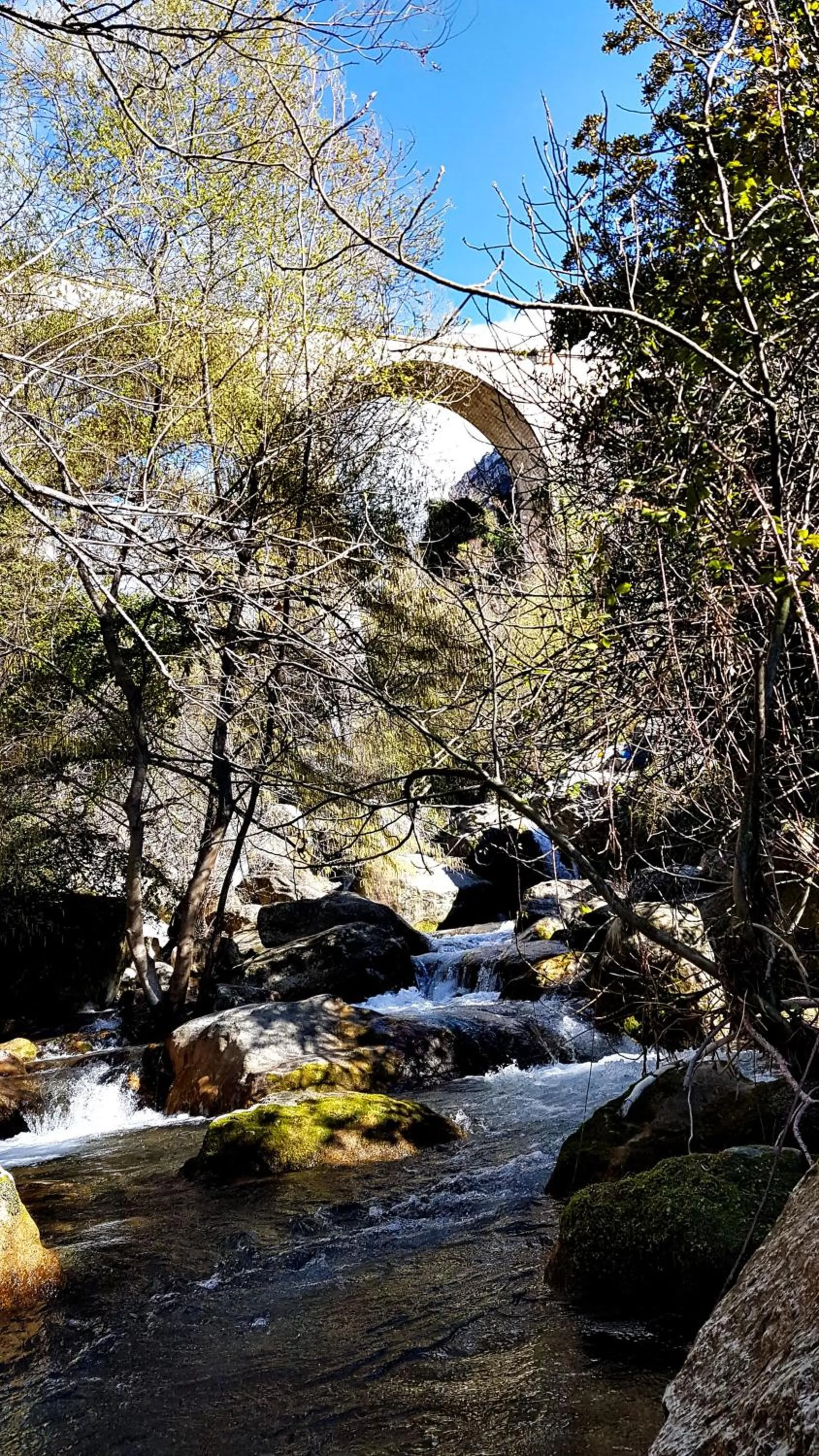 River view in Le Moulin Camoula