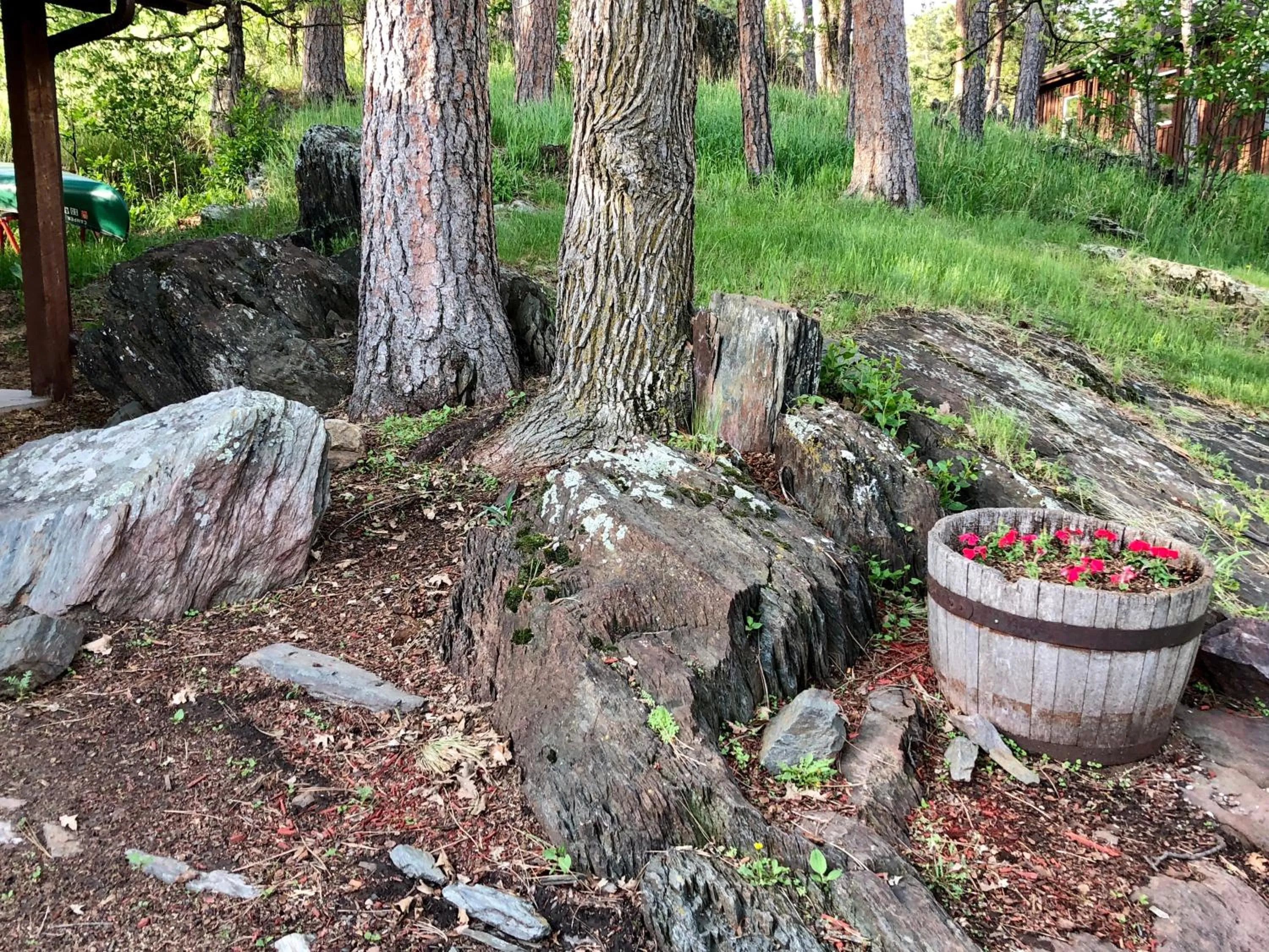 Natural landscape in Rockerville Lodge & Cabins