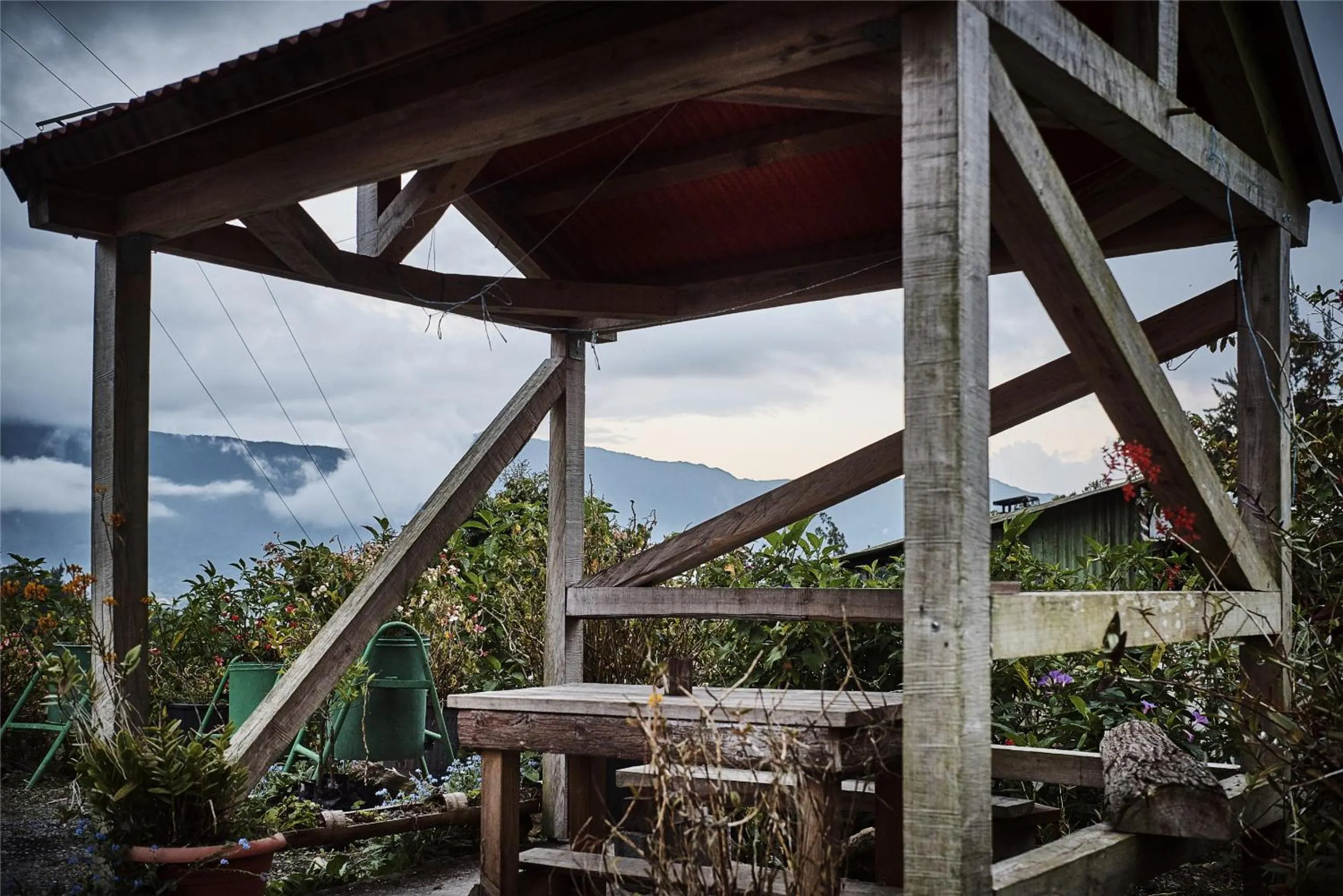 Garden in le p'ti blanc des "o"
