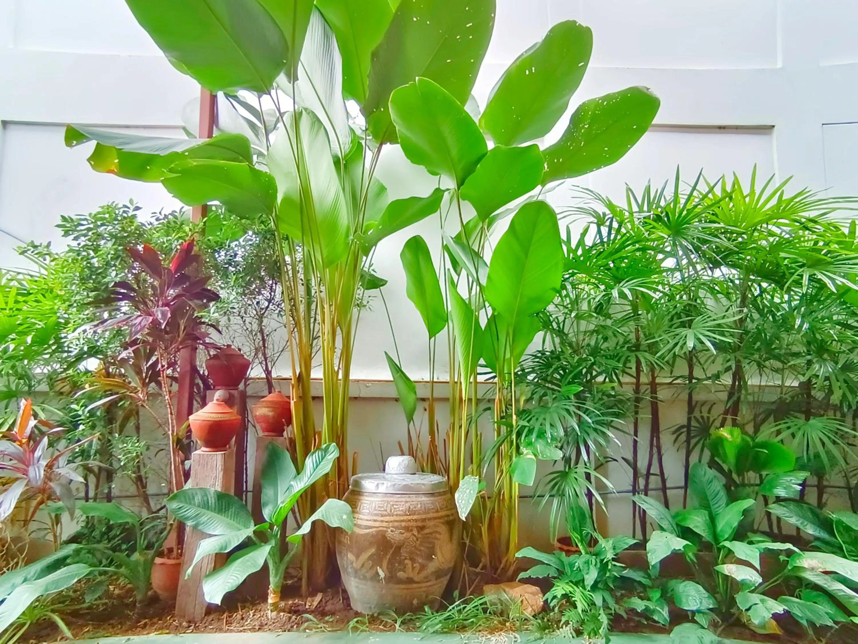 Garden in Apilapa Hotel