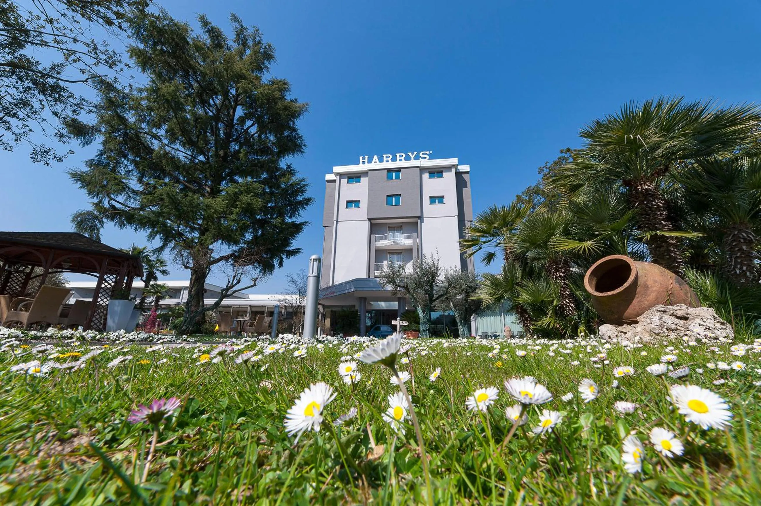 Garden in Hotel Harrys' Garden