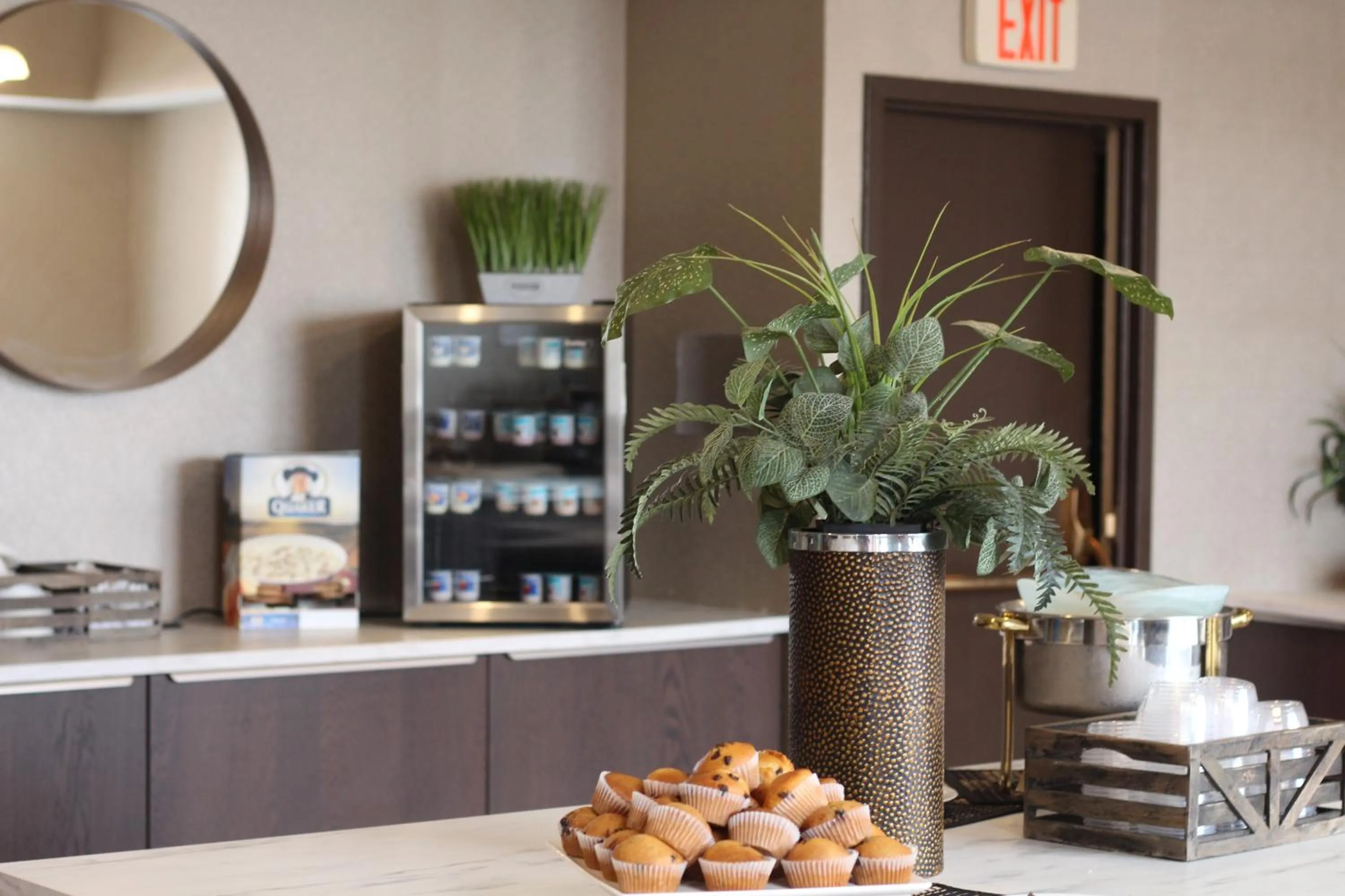 Restaurant/places to eat in Rodd Royalty