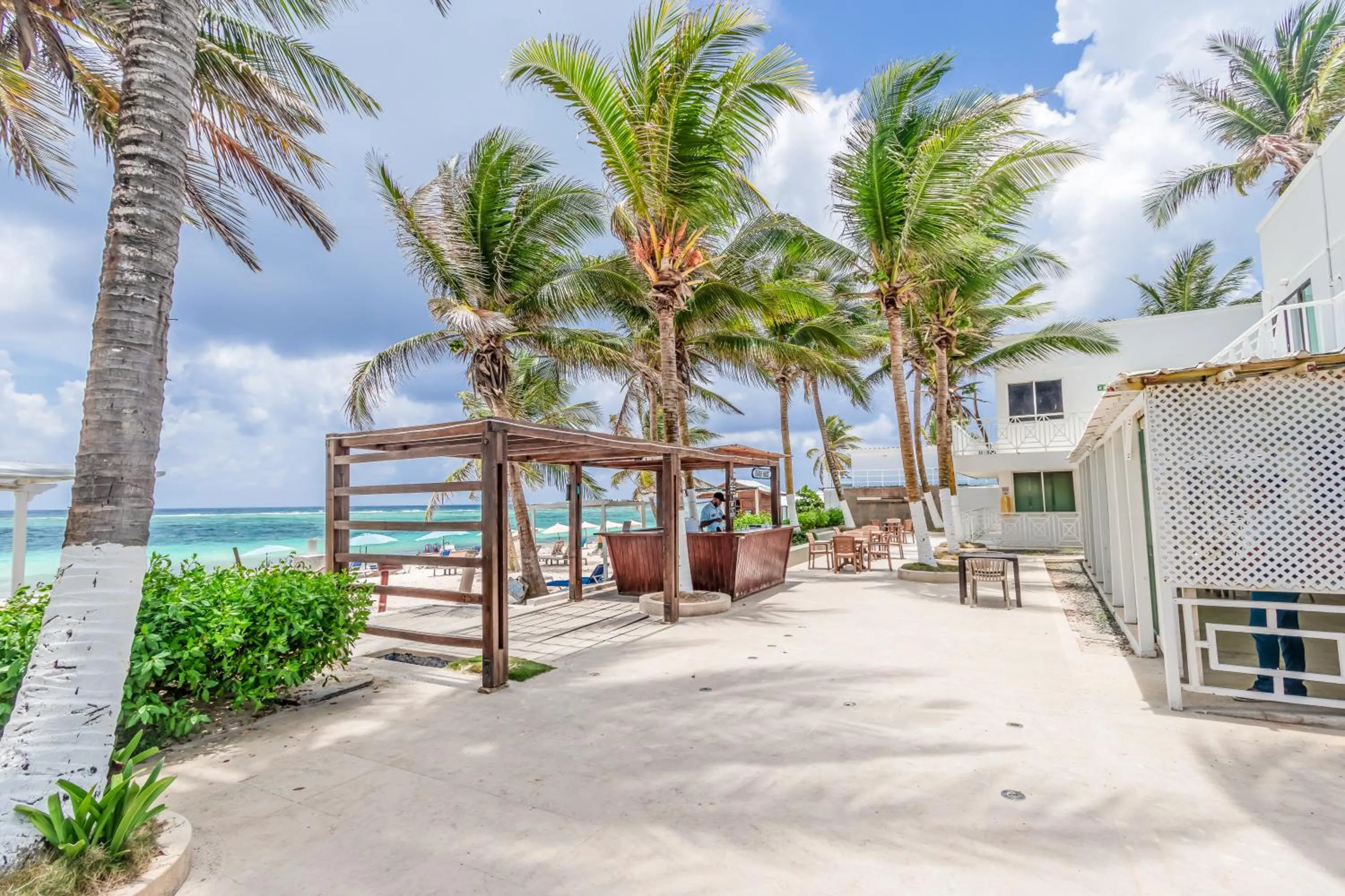 Beach in Hotel San Luis Beach House By OxoHotel