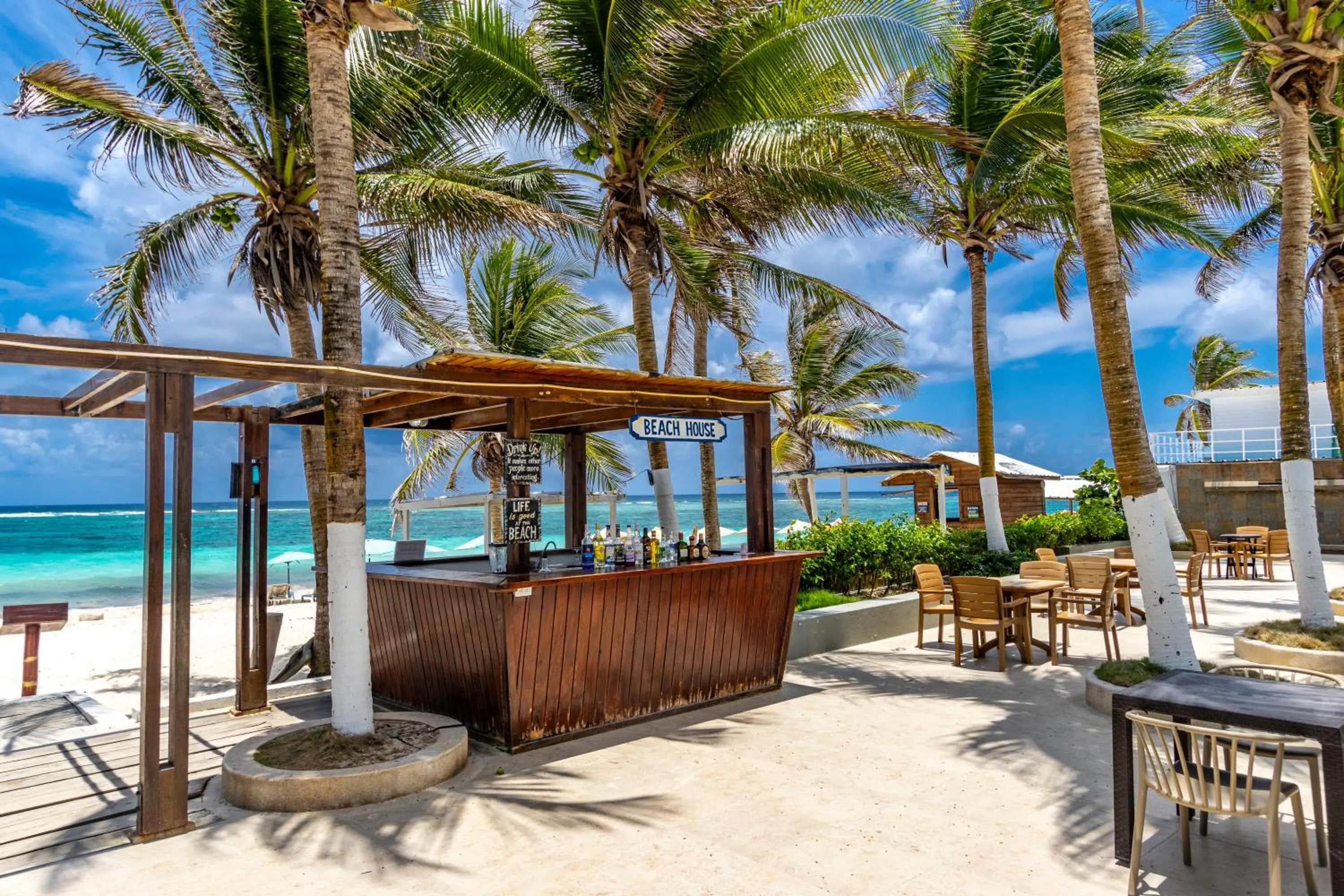 Beach in Hotel San Luis Beach House By OxoHotel