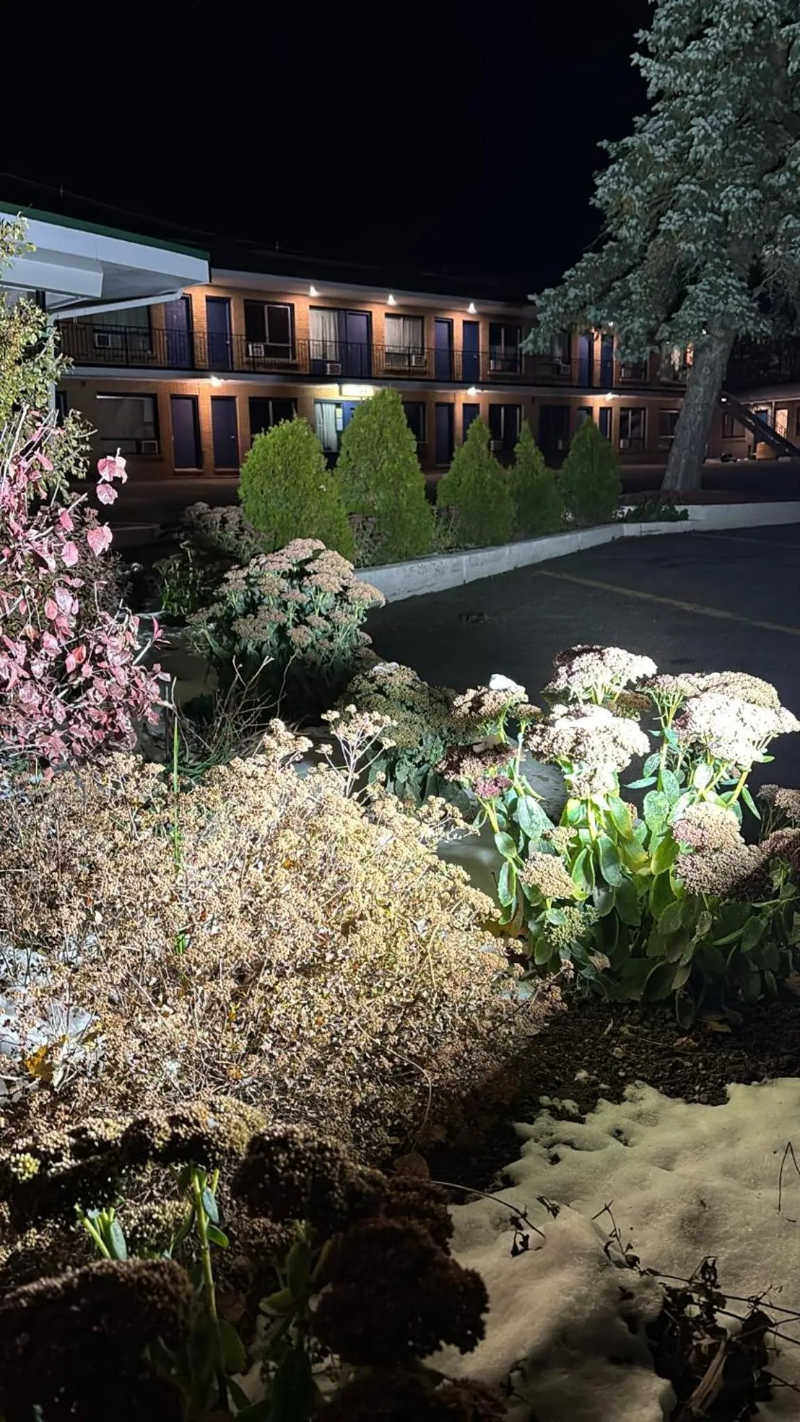 Property building in Inn On Pim