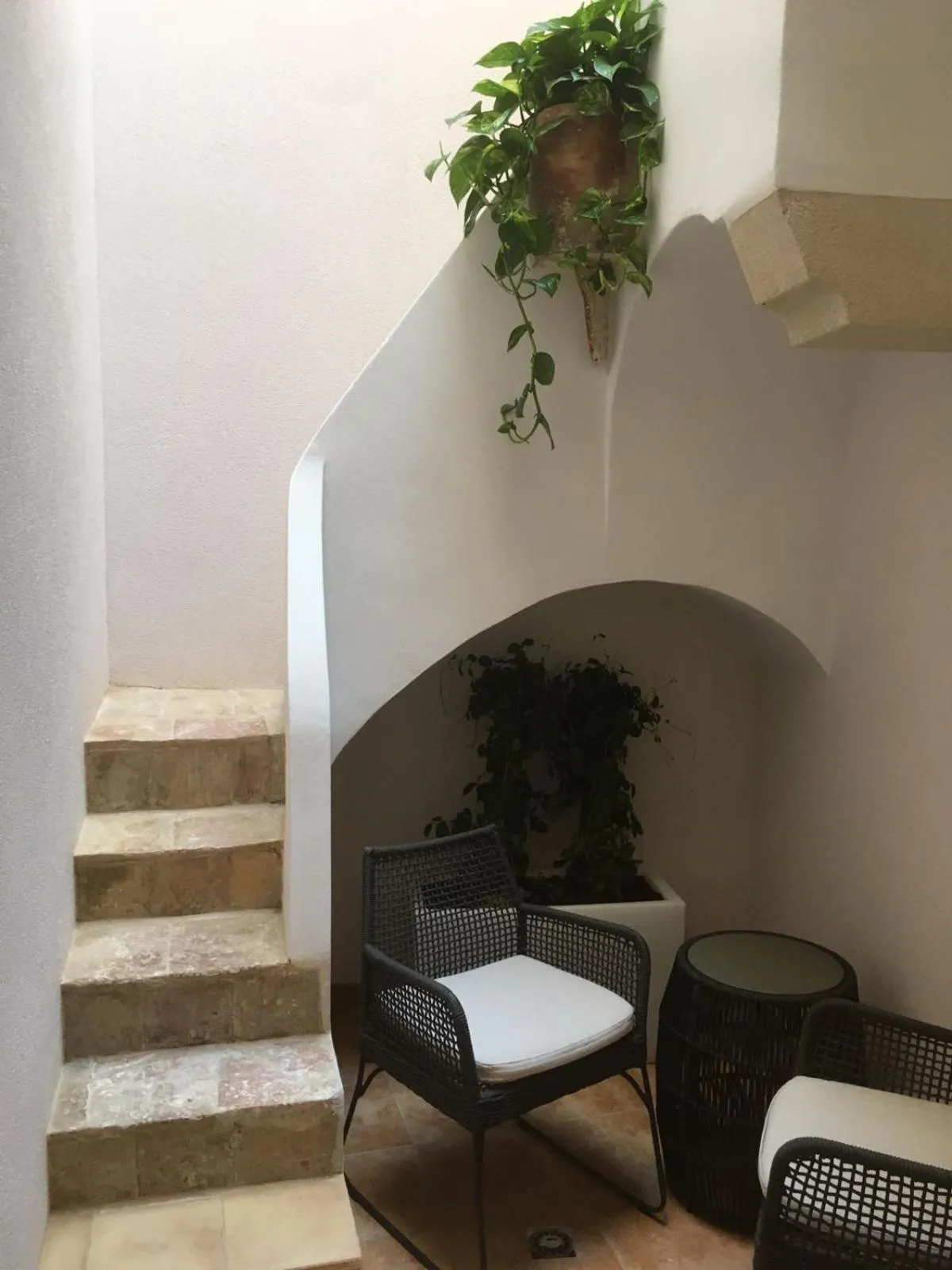 Area and facilities in B&B Marconi