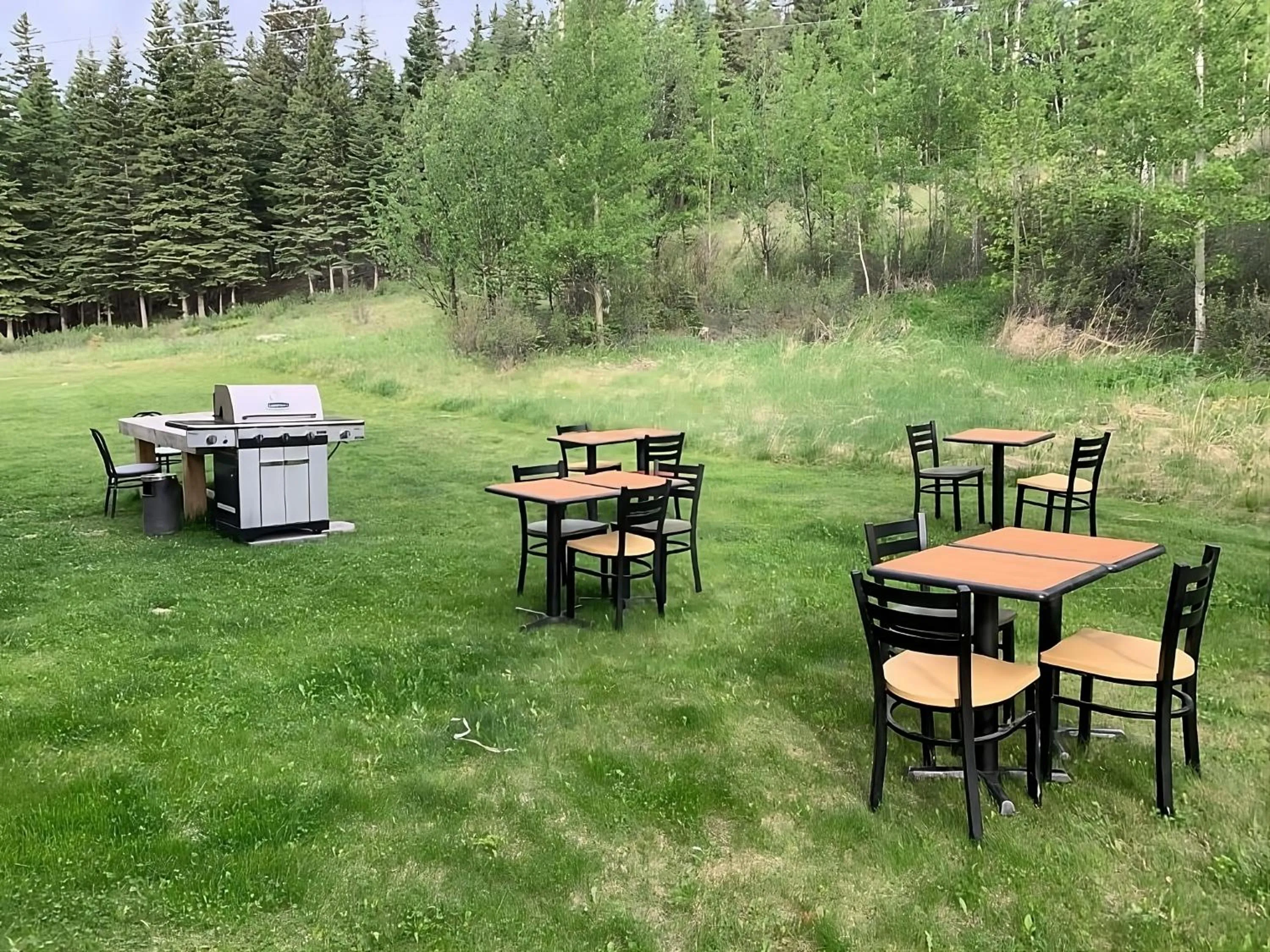 BBQ facilities in Super 8 by Wyndham Hinton