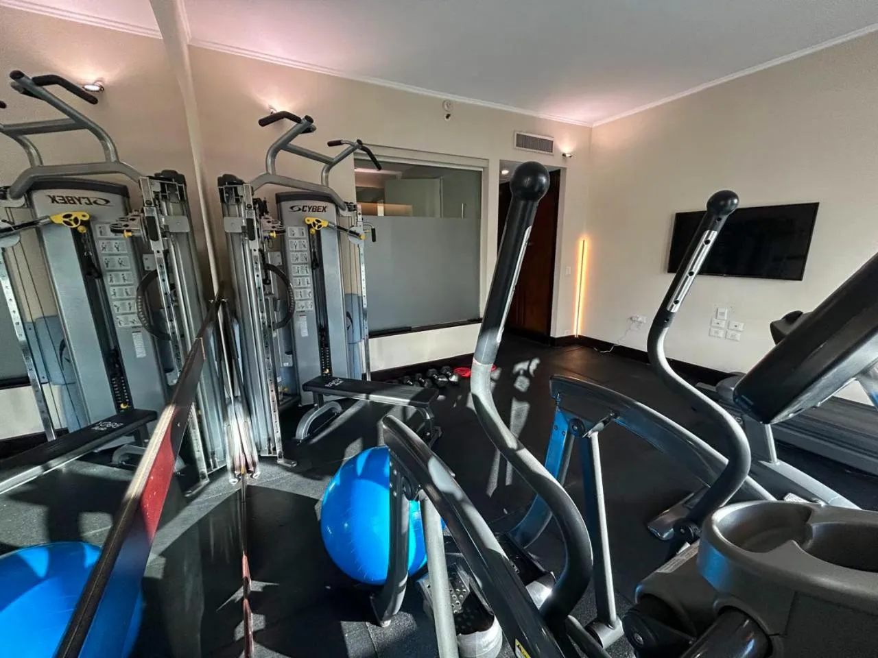 Fitness centre/facilities in Eurobuilding Hotel Boutique Buenos Aires