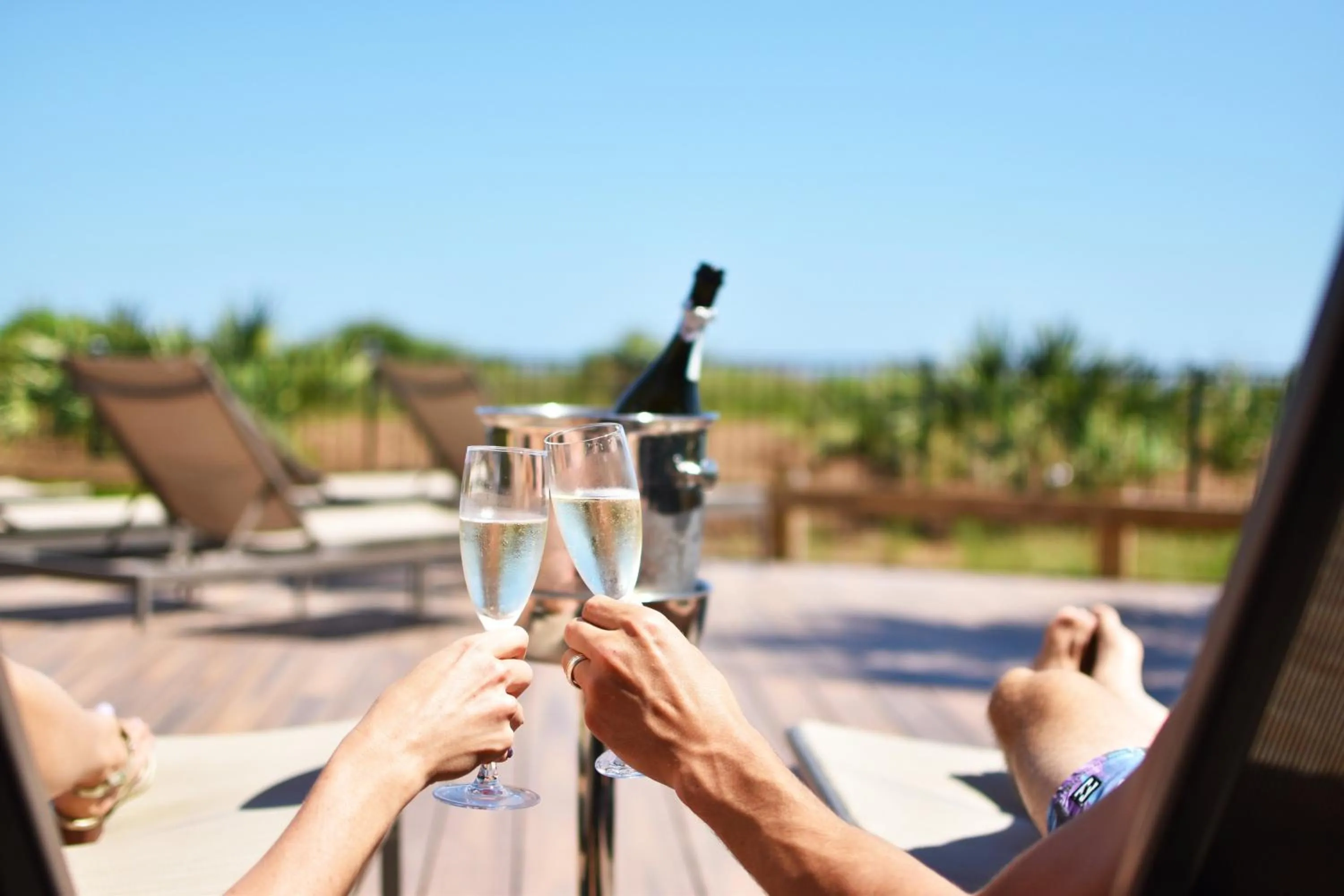 Other in The Westin Hilton Head Island Resort & Spa