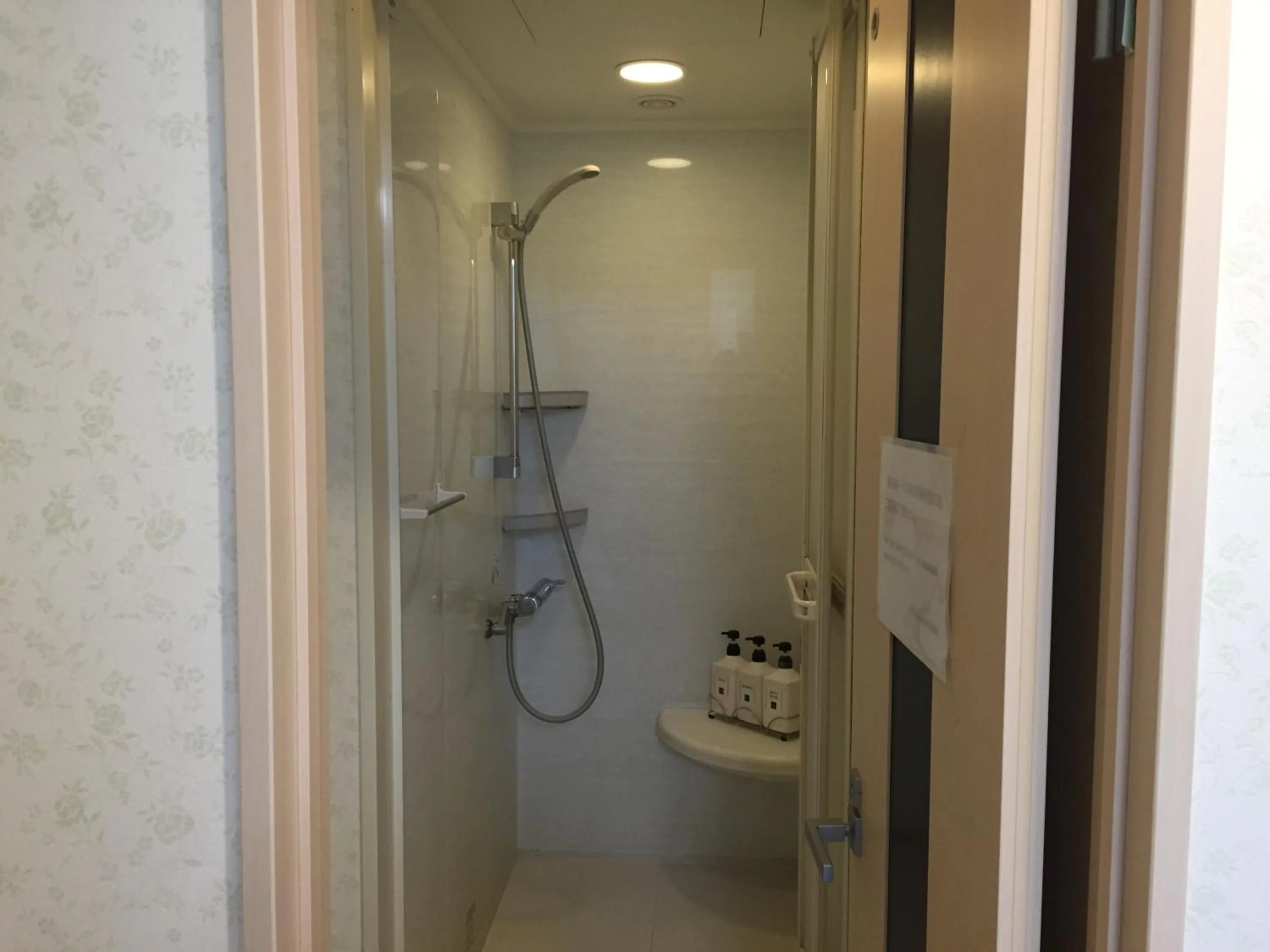 Shower in Hotel Palace Japan