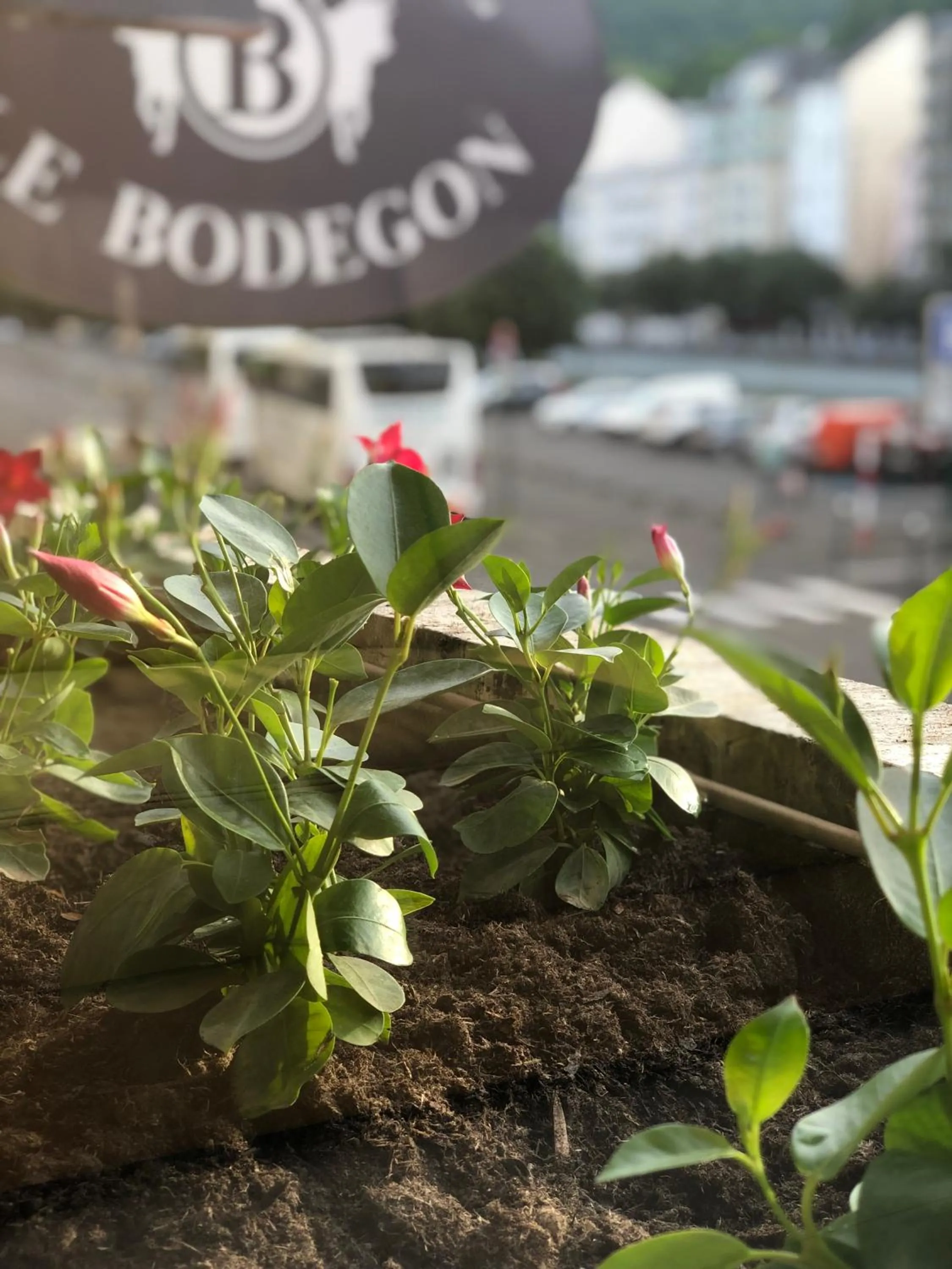 Grand Hôtel d'Espagne