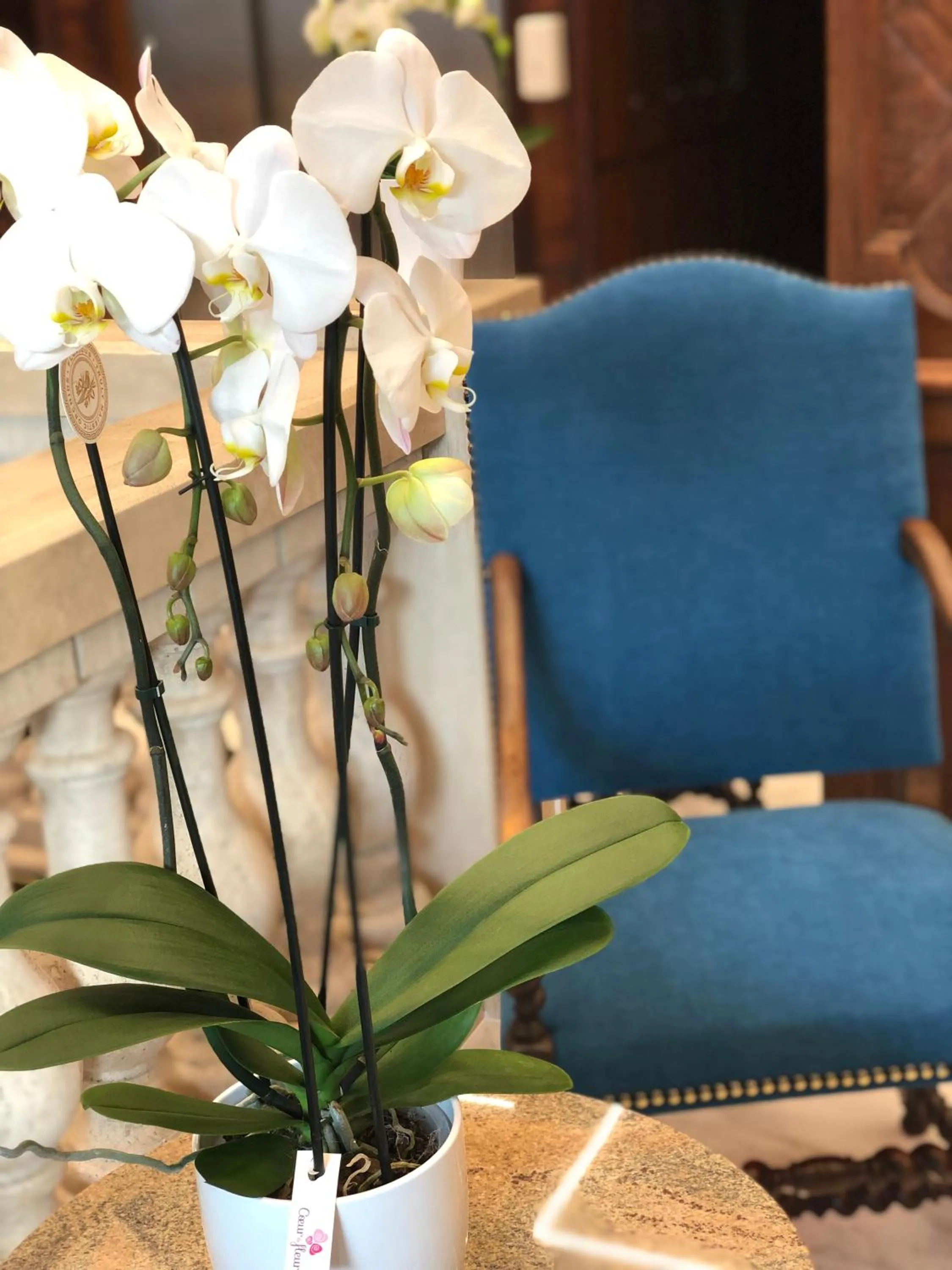 Seating area in Grand Hôtel d'Espagne