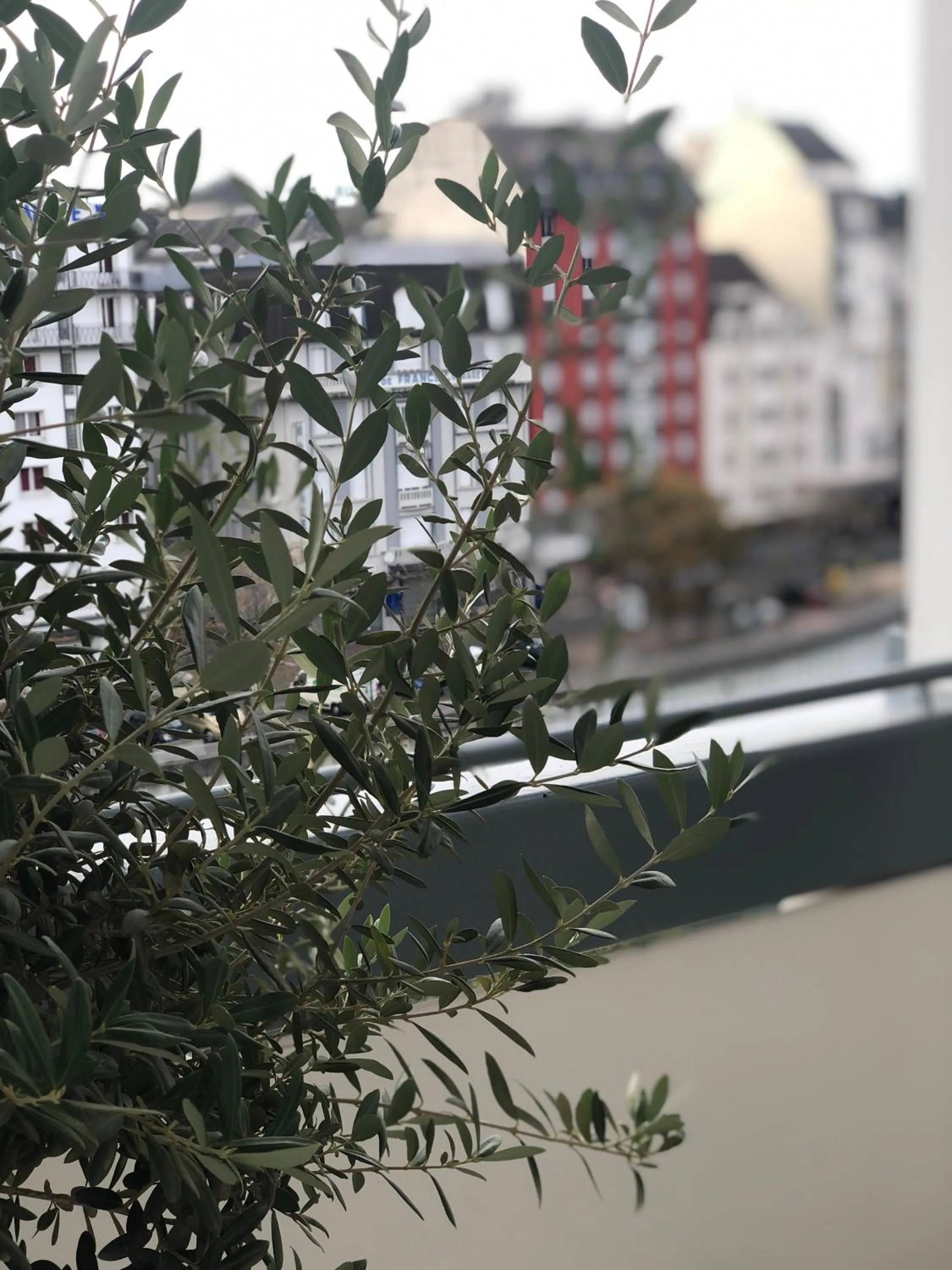 Grand Hôtel d'Espagne