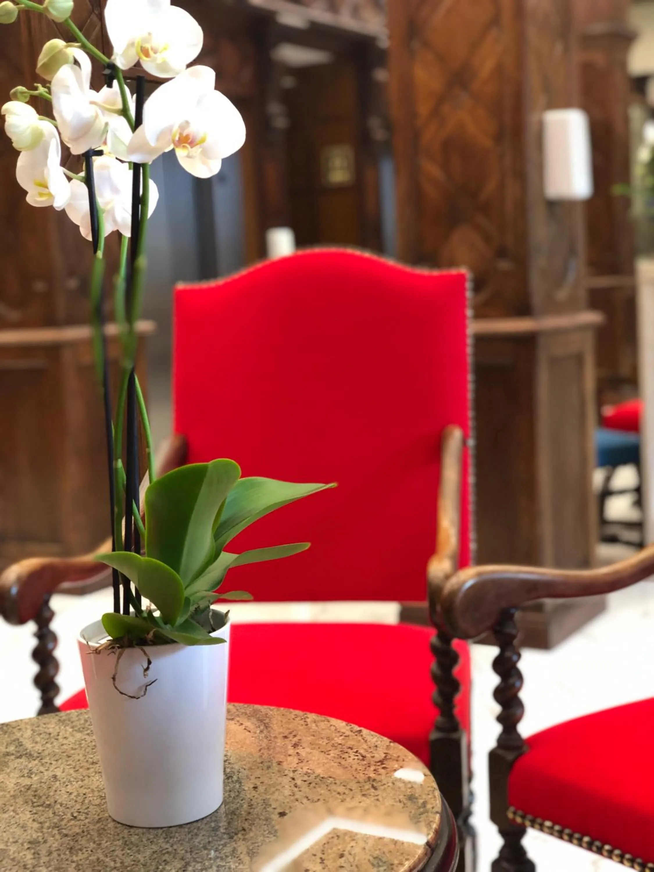 Lounge or bar in Grand Hôtel d'Espagne