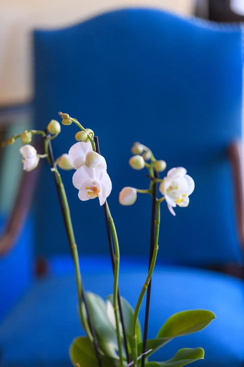 Property building in Grand Hôtel d'Espagne