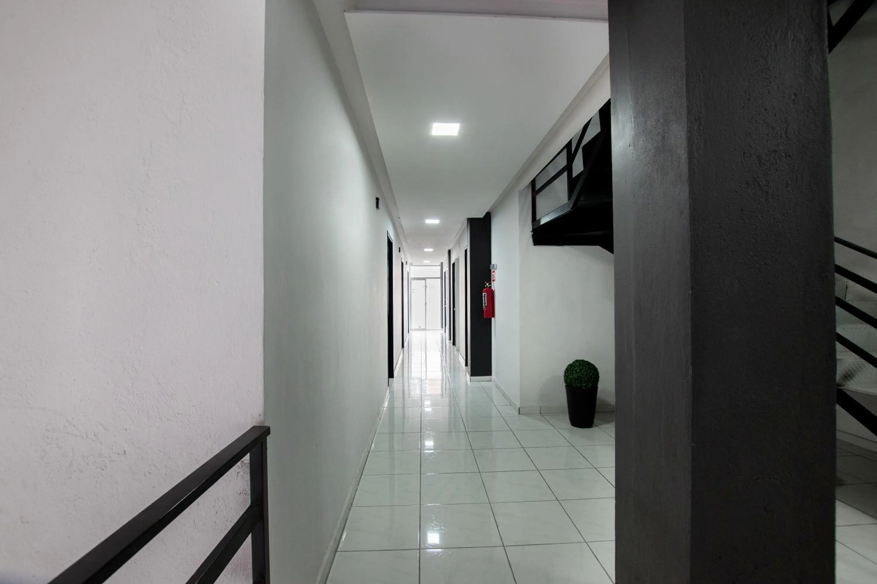 Lobby or reception in Hotel San Luis