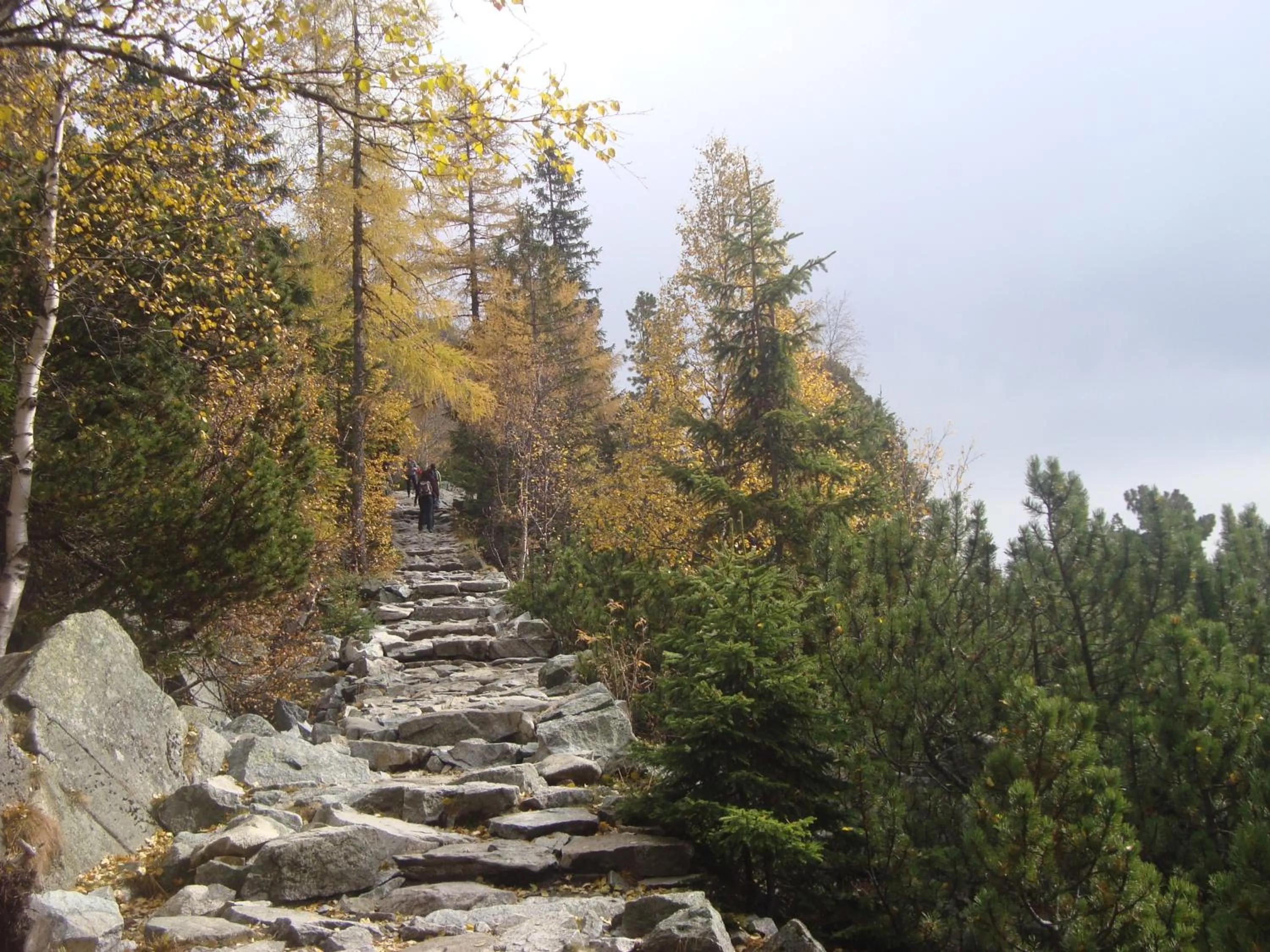 Day in Horsky Hotel Sliezsky Dom