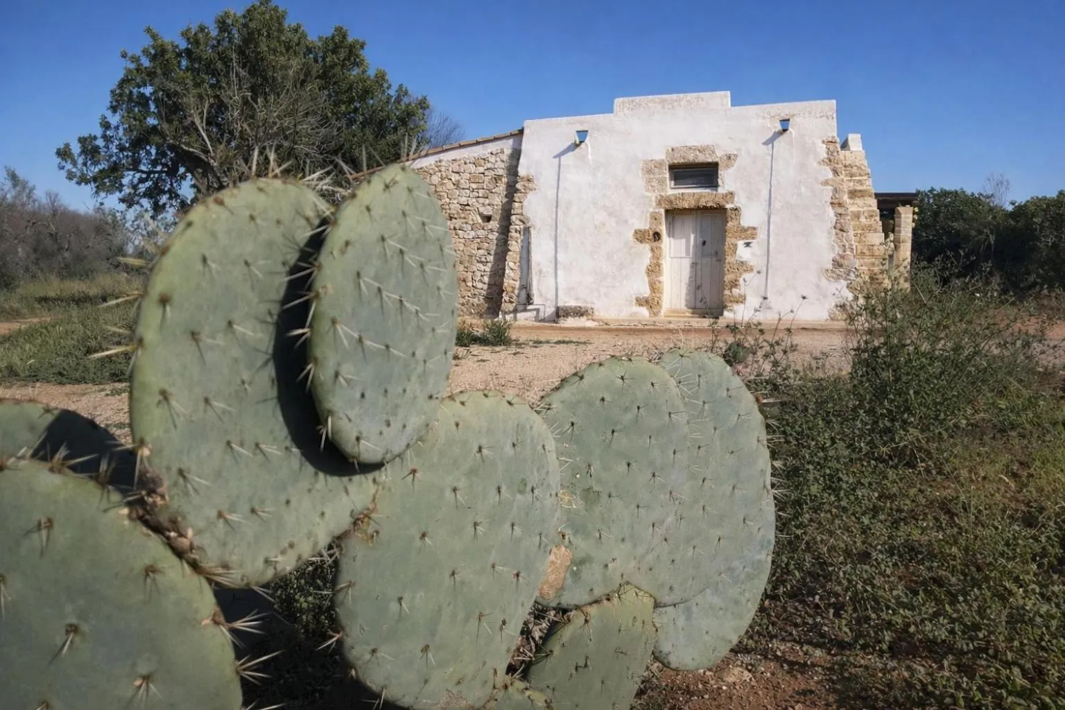 Property building in I Mulicchi