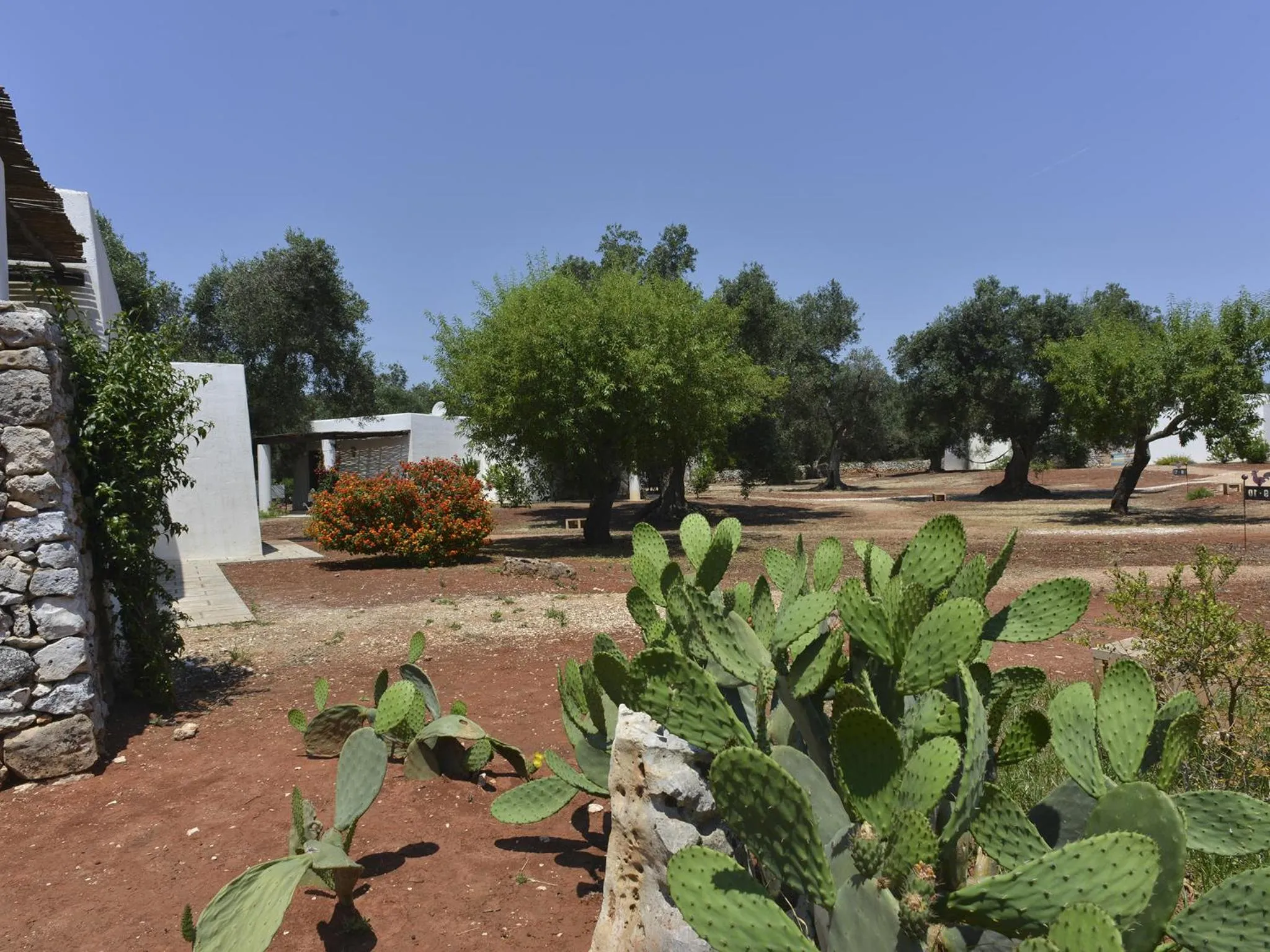 Garden in I Mulicchi