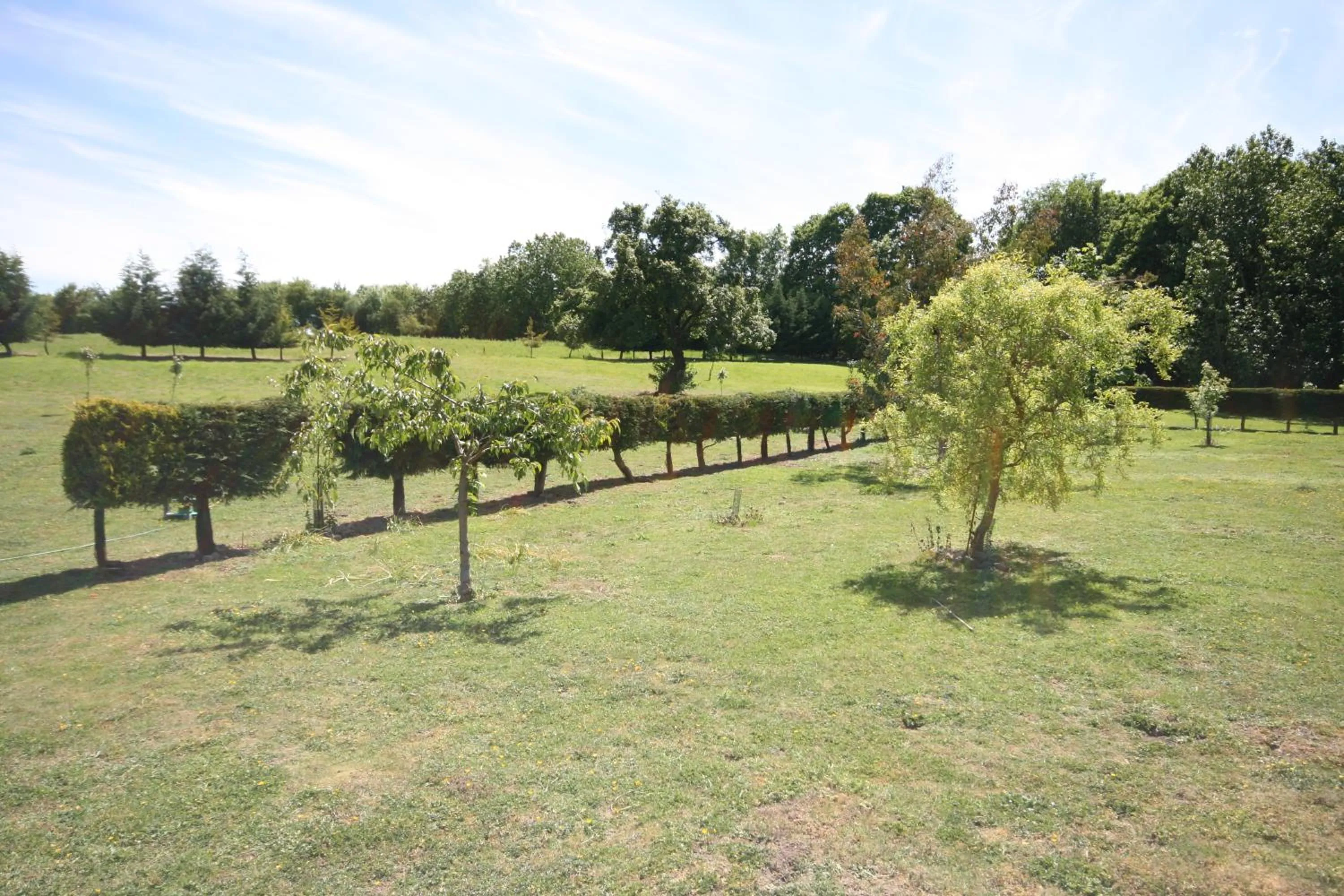 Garden in Upper Neatham Mill