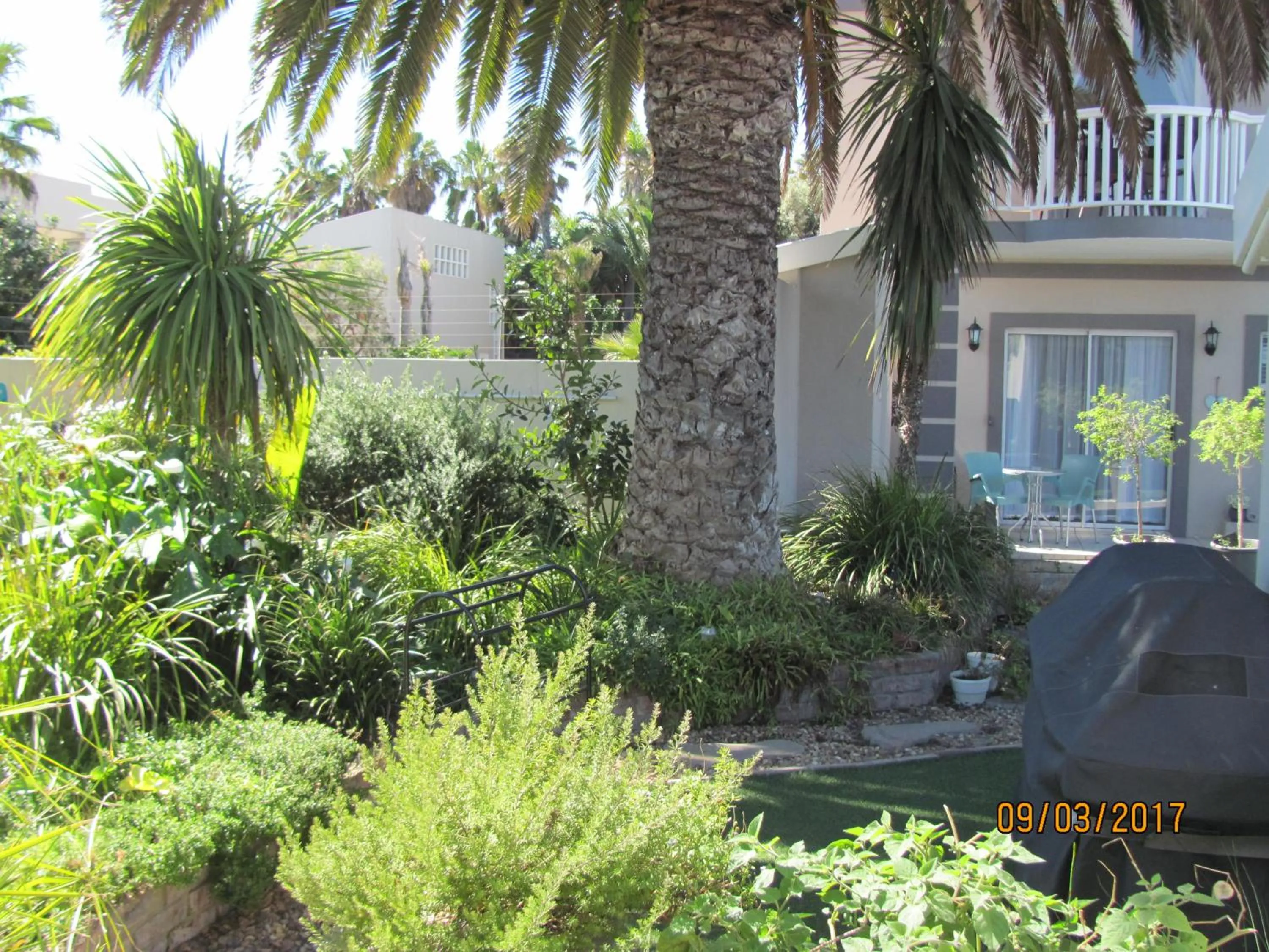 Garden in Atlantic Beach Villa