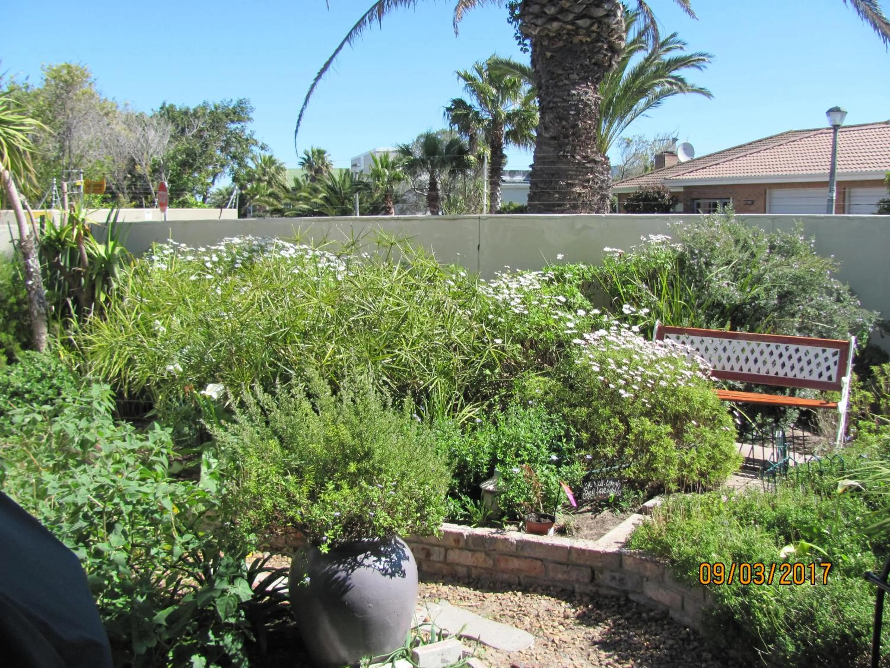 Garden in Atlantic Beach Villa