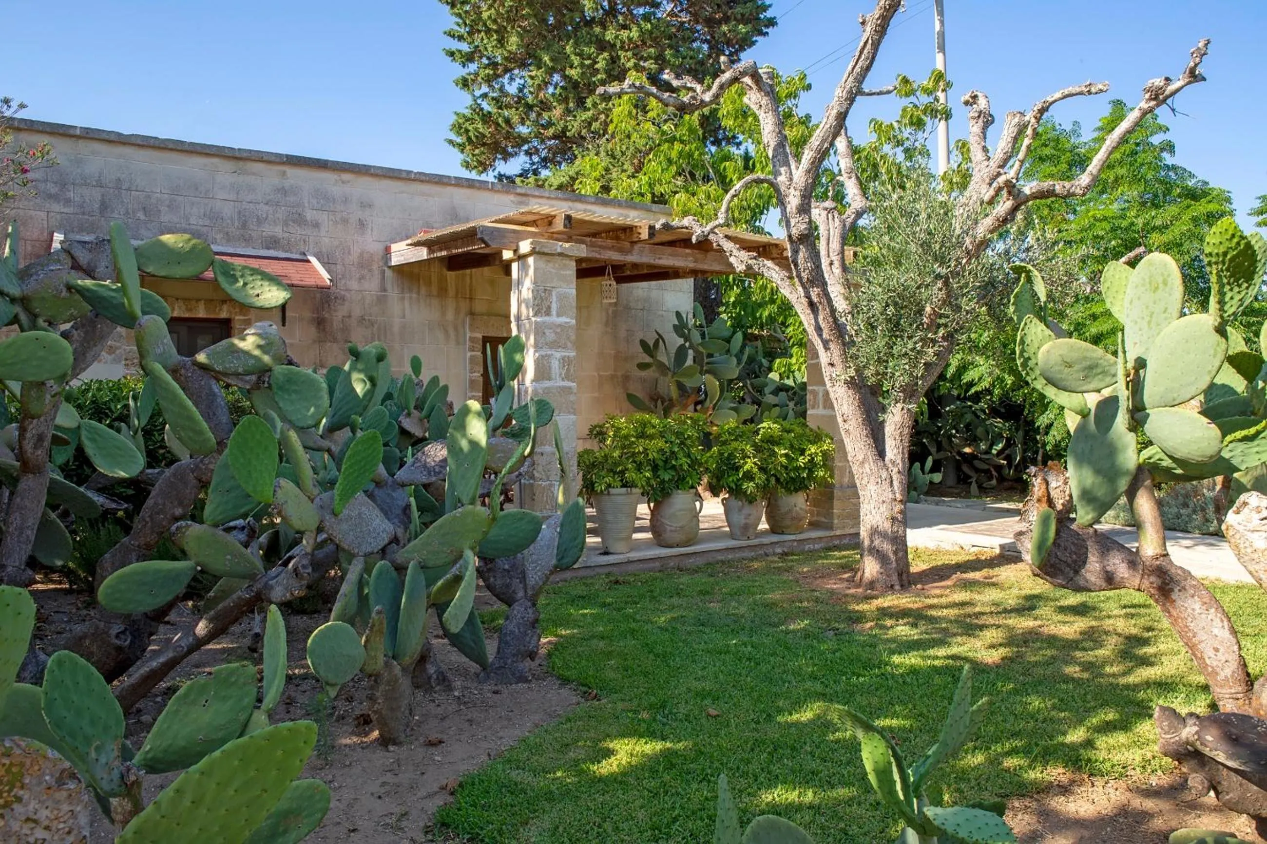 Masseria L'Uliveto Agri Resort