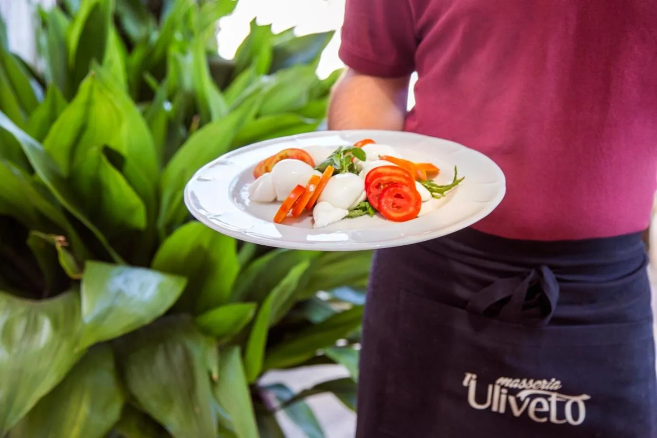 Masseria L'Uliveto Agri Resort