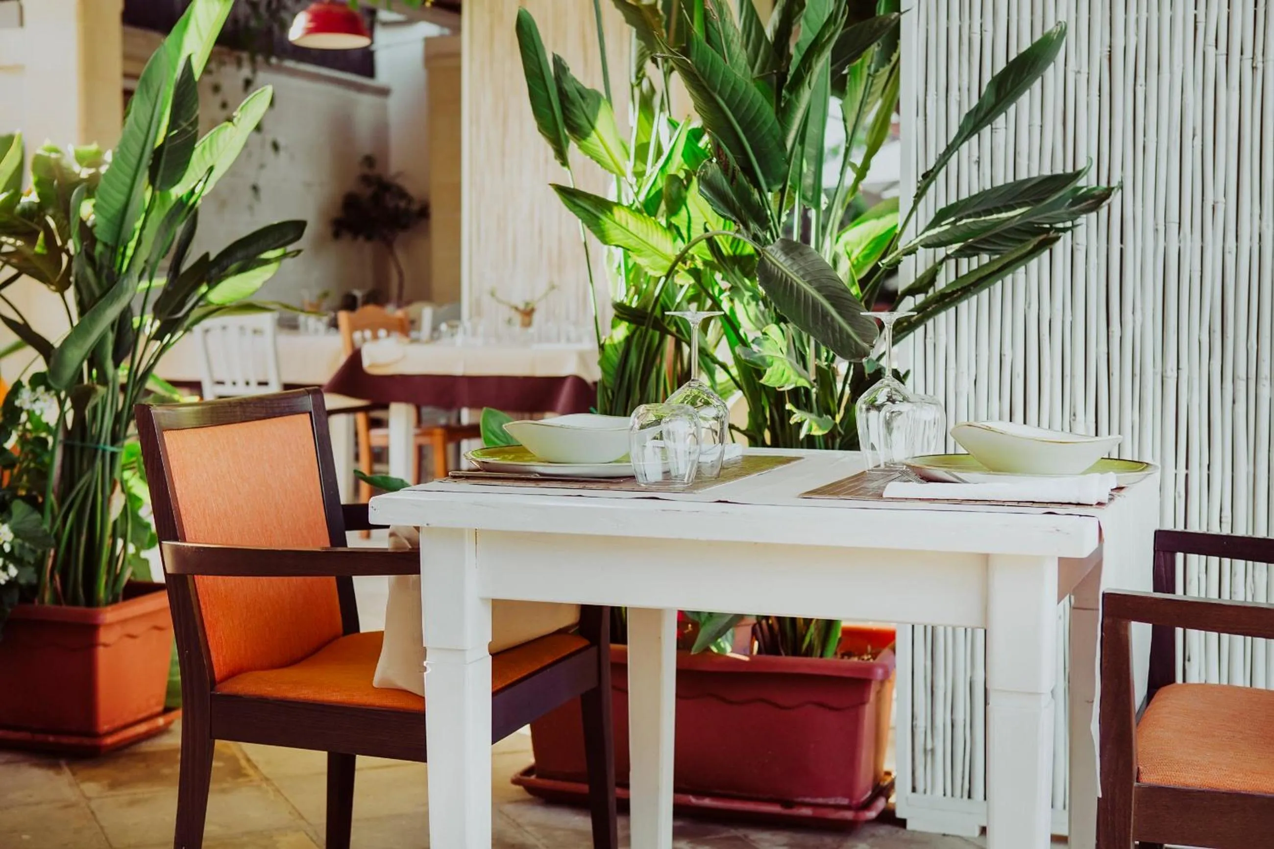 Masseria L'Uliveto Agri Resort