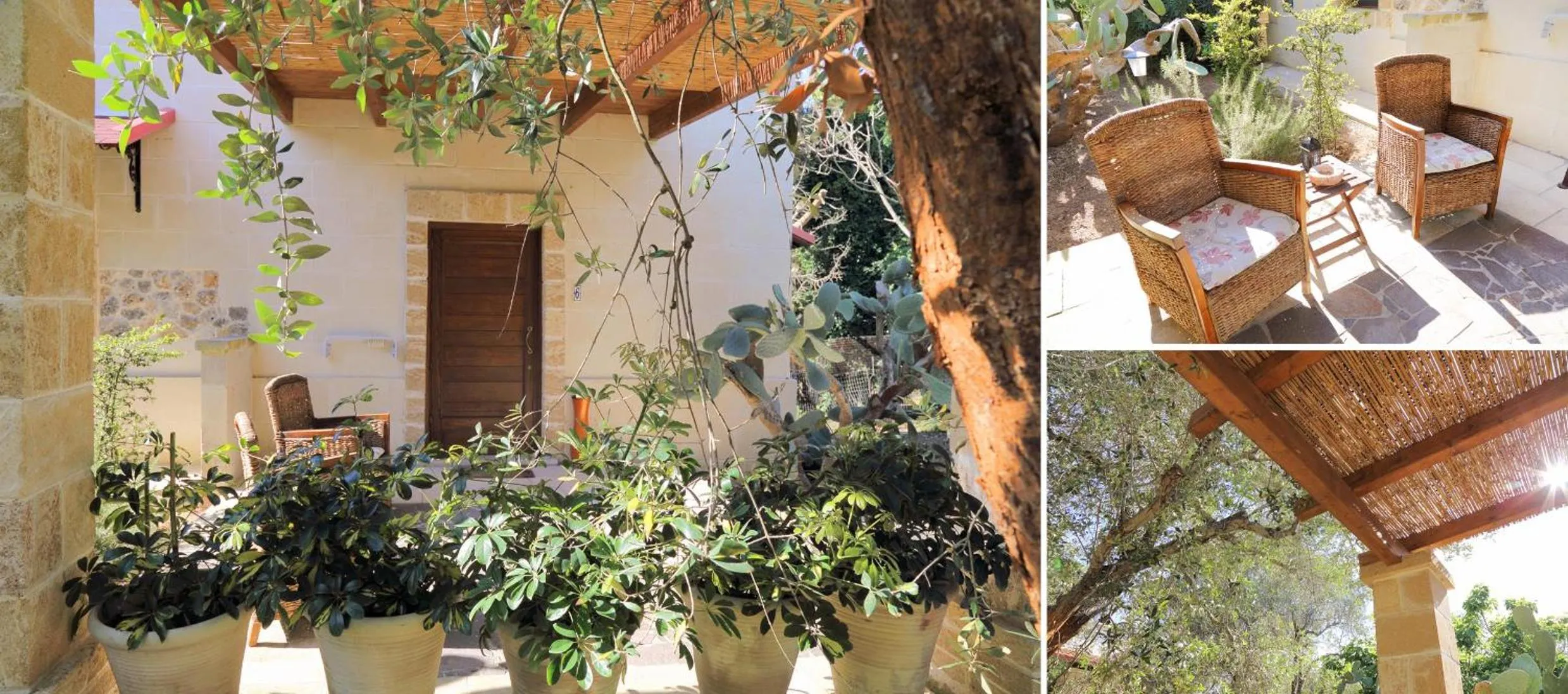 Masseria L'Uliveto Agri Resort